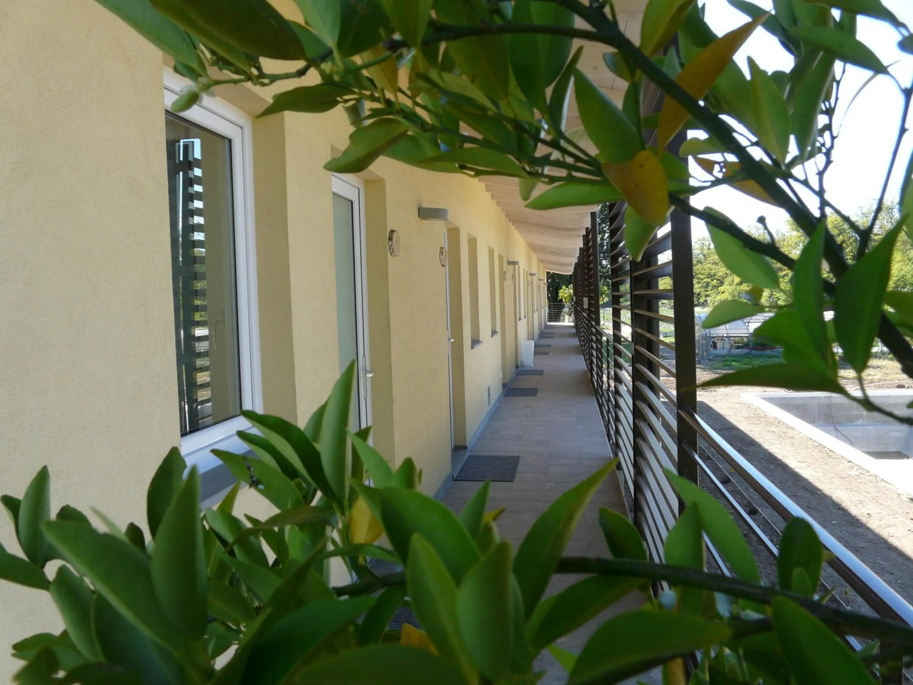 Balcony/Terrace in Agriturismo Dolce Luna