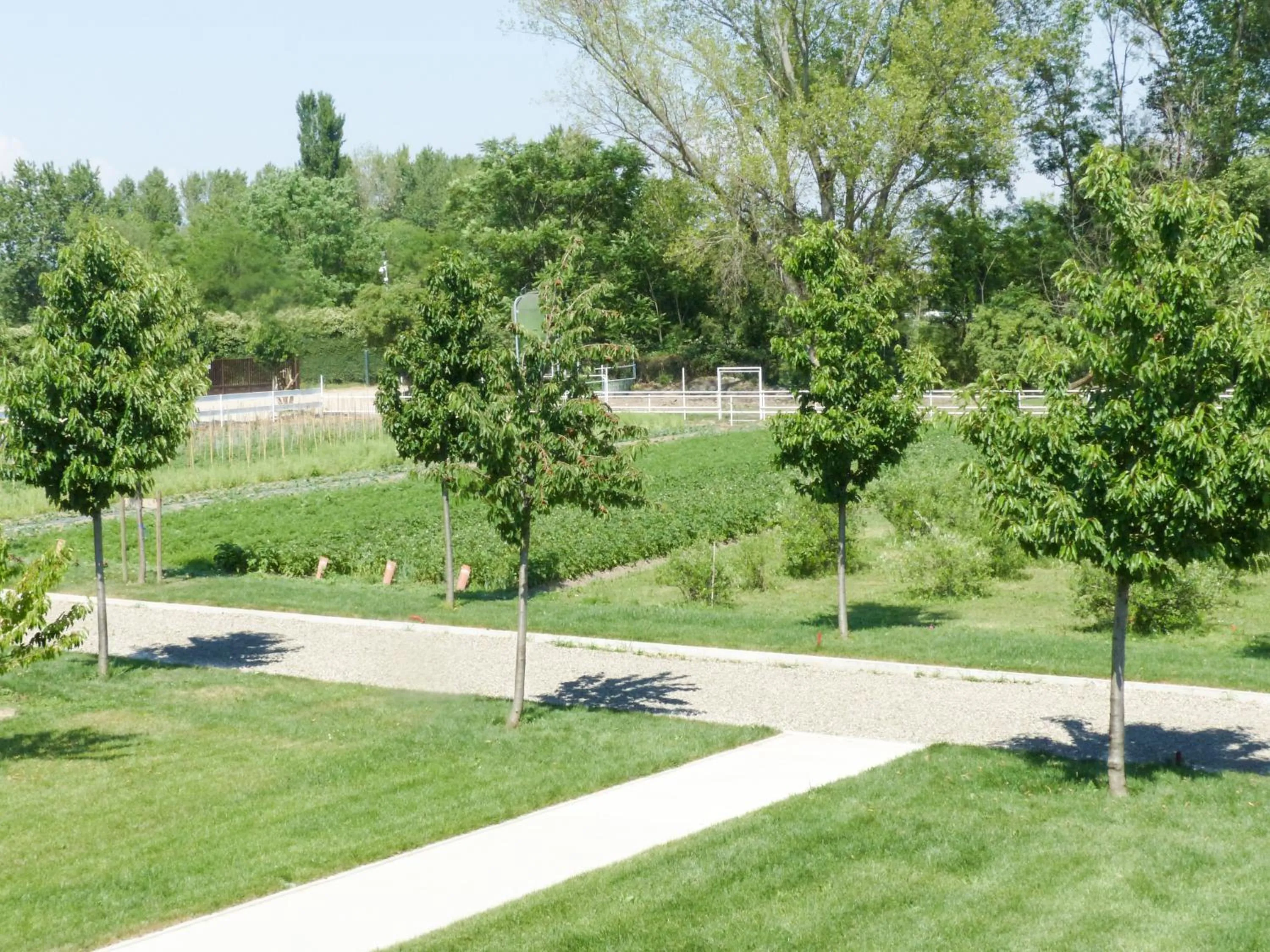 Property building in Agriturismo Dolce Luna