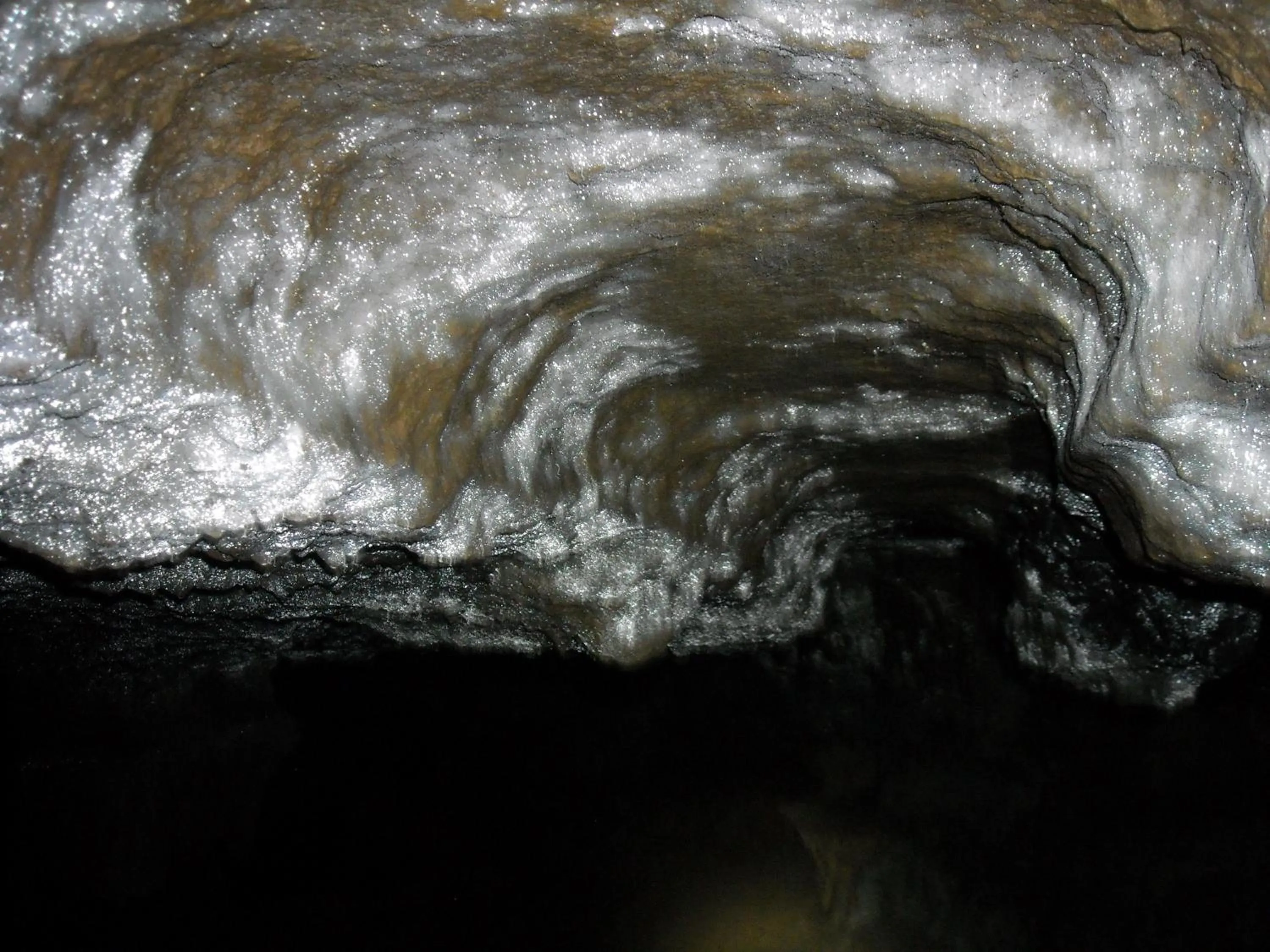 Natural landscape in Hotel Portici