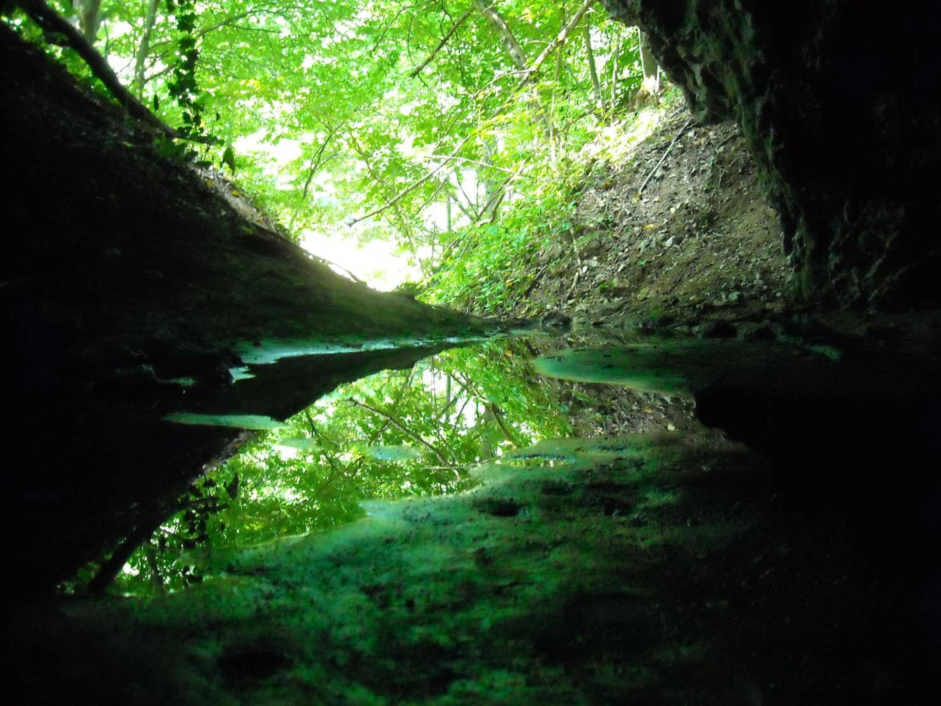 Natural landscape in Hotel Portici