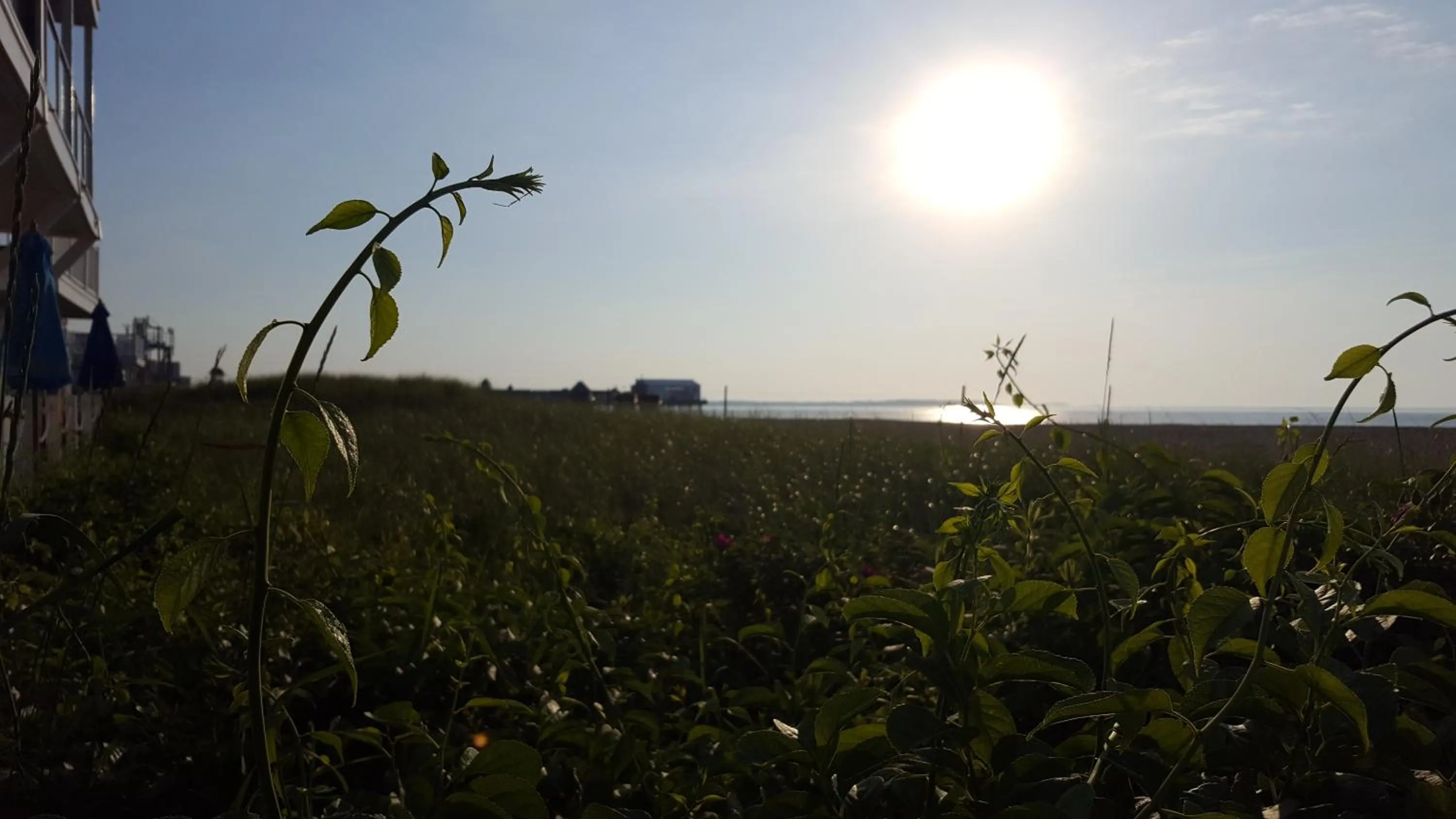 Other in The Inn at Soho Square