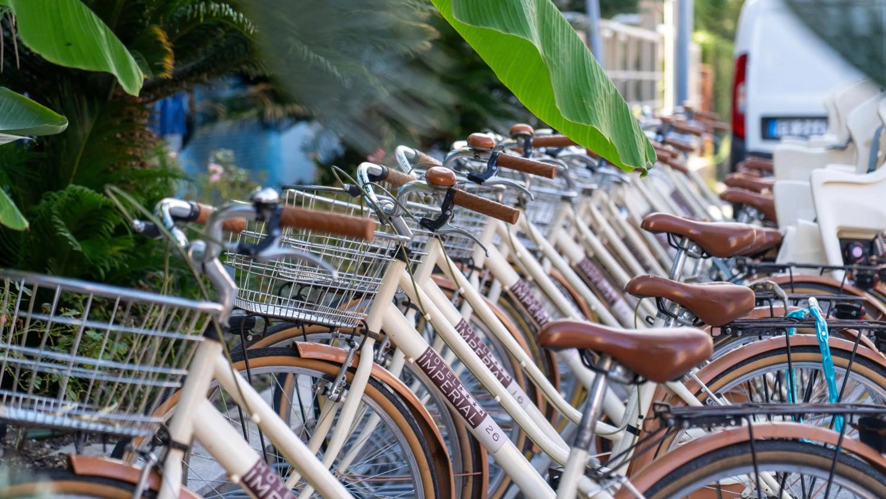 Cycling in Hotel Imperial