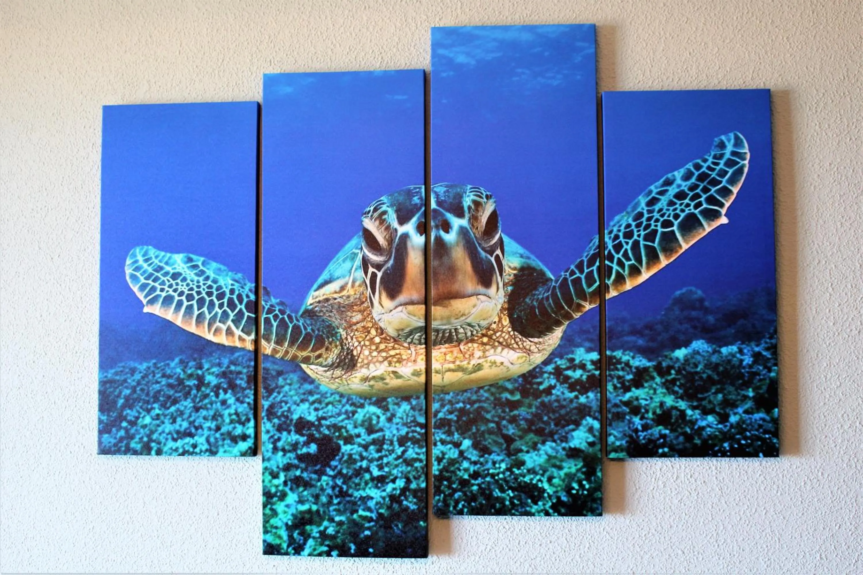 Tortuga Flat