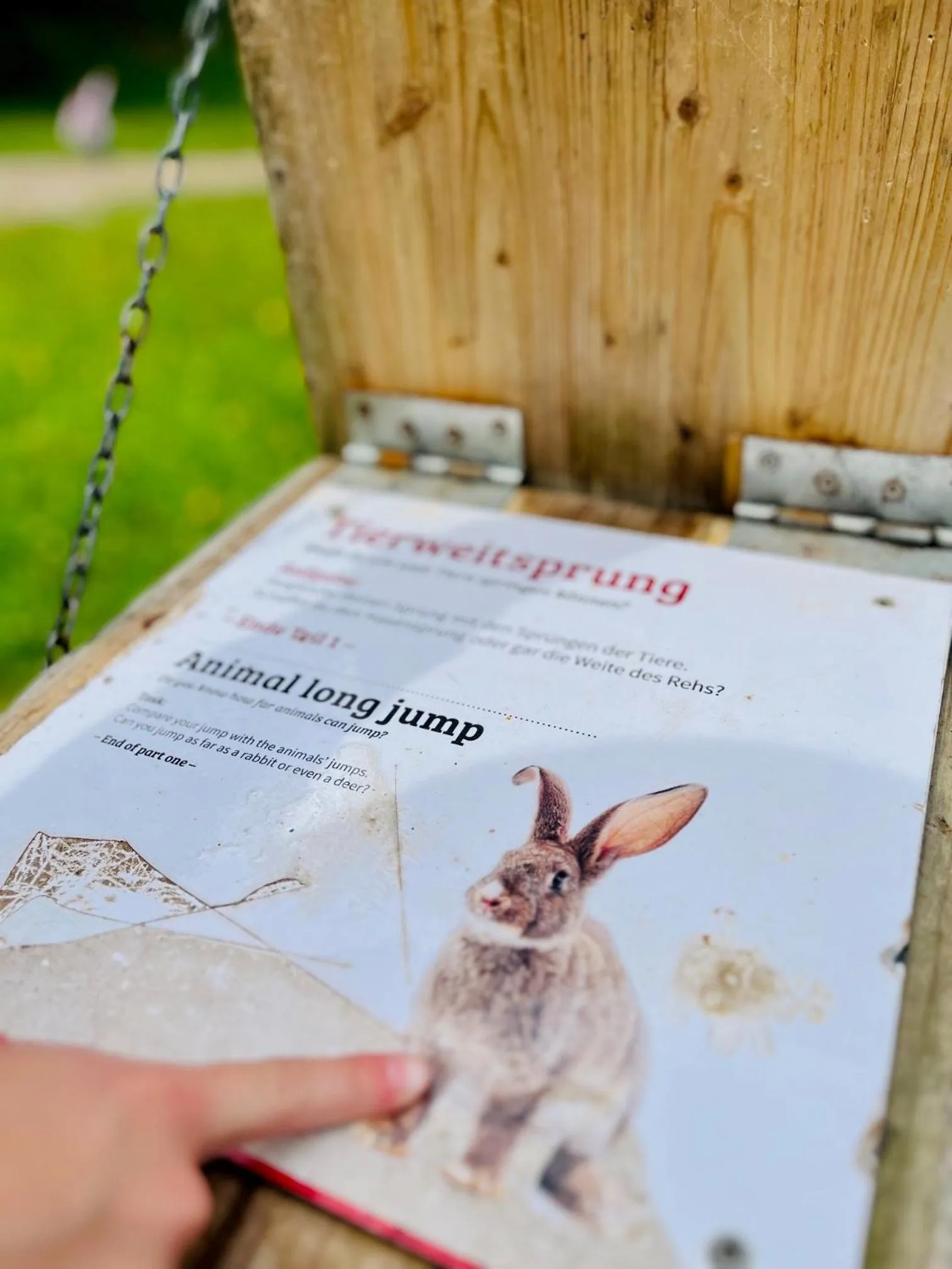 Children play ground in Hotel Sonnenberg Garni
