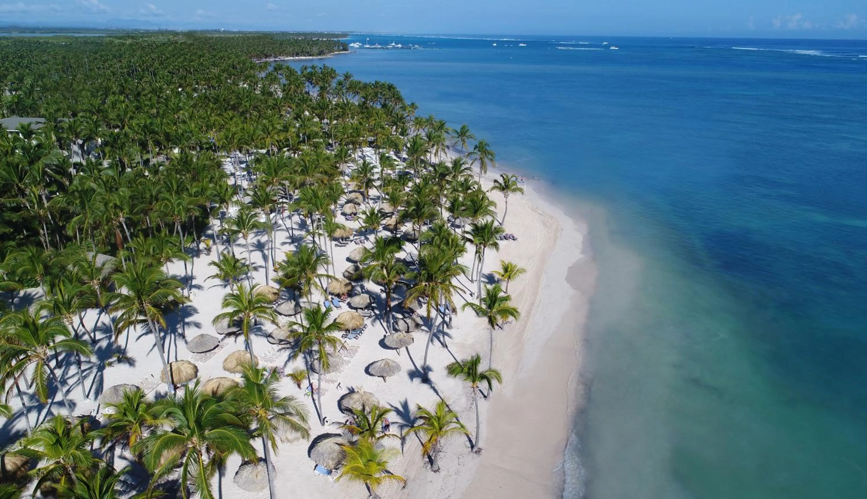 Bird's eye view in Catalonia Punta Cana - All Inclusive