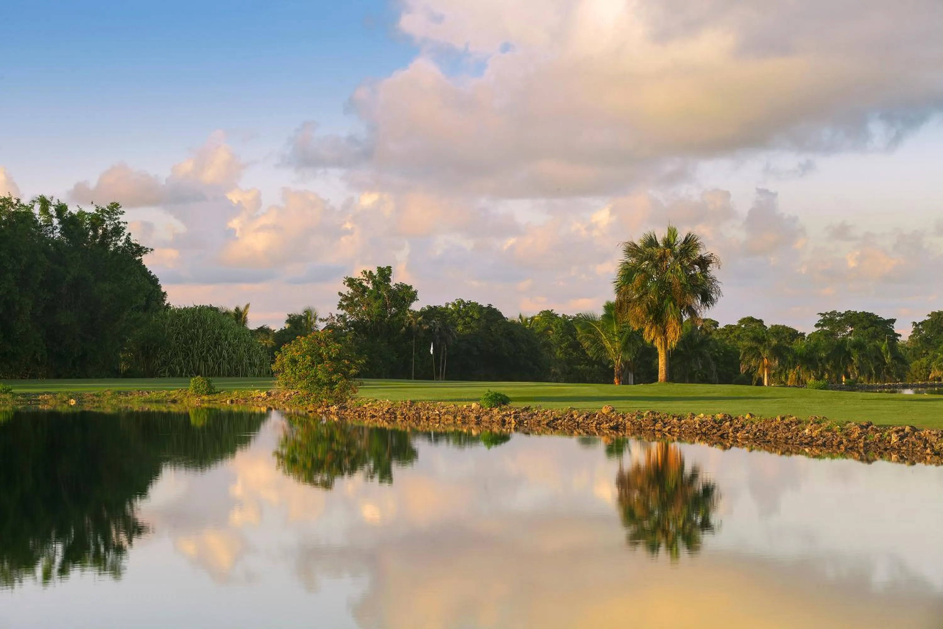Garden in Catalonia Punta Cana - All Inclusive