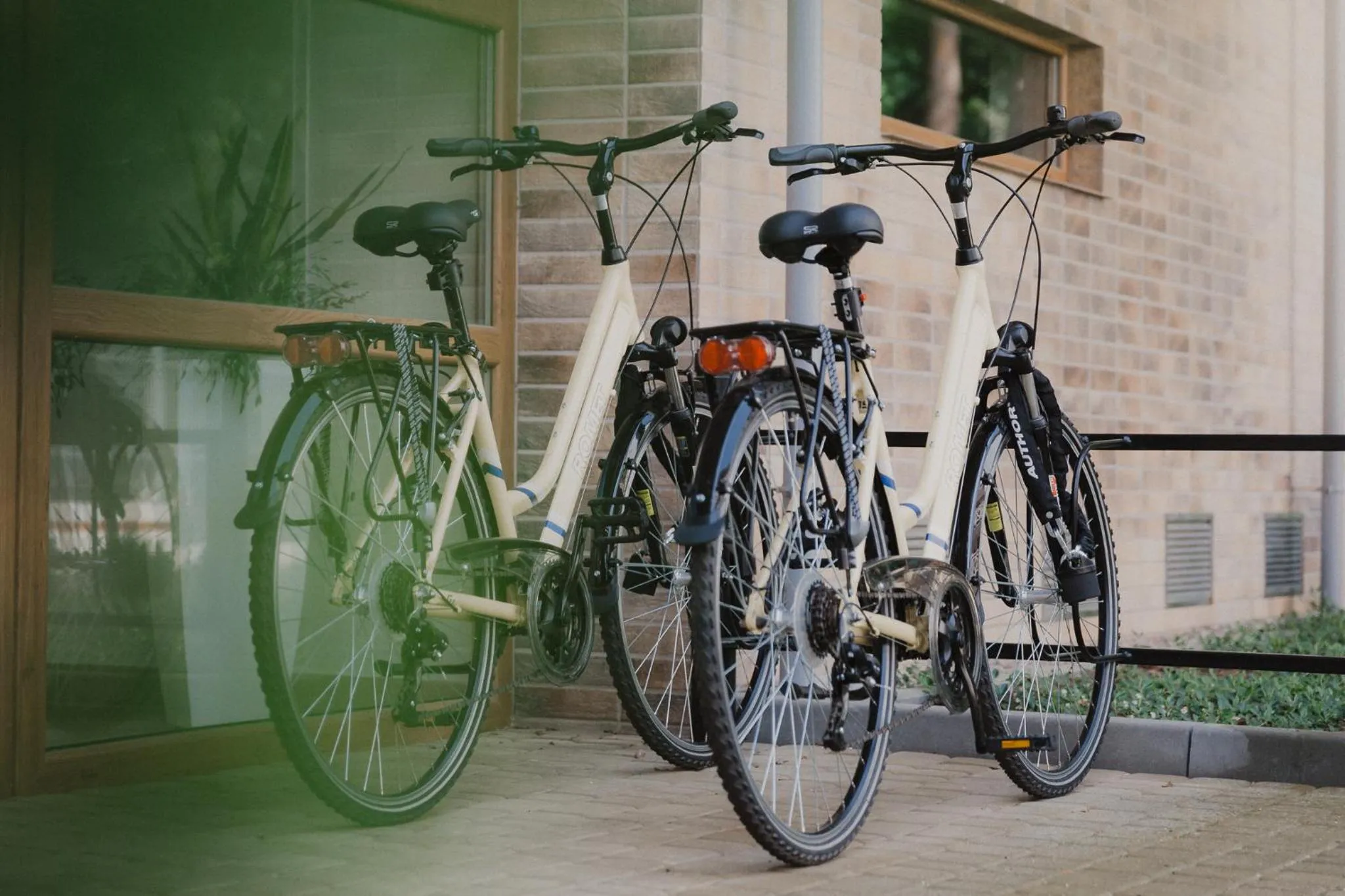 Cycling in Sosnowe Tarasy