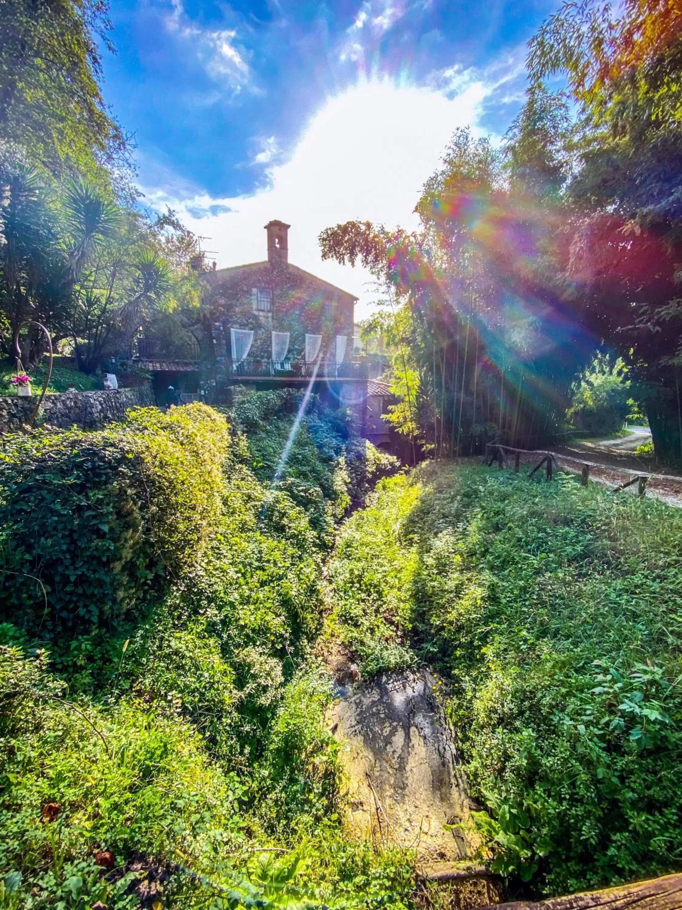 Property building in Guest House Antico Frantoio Pietrasanta Affittacamere