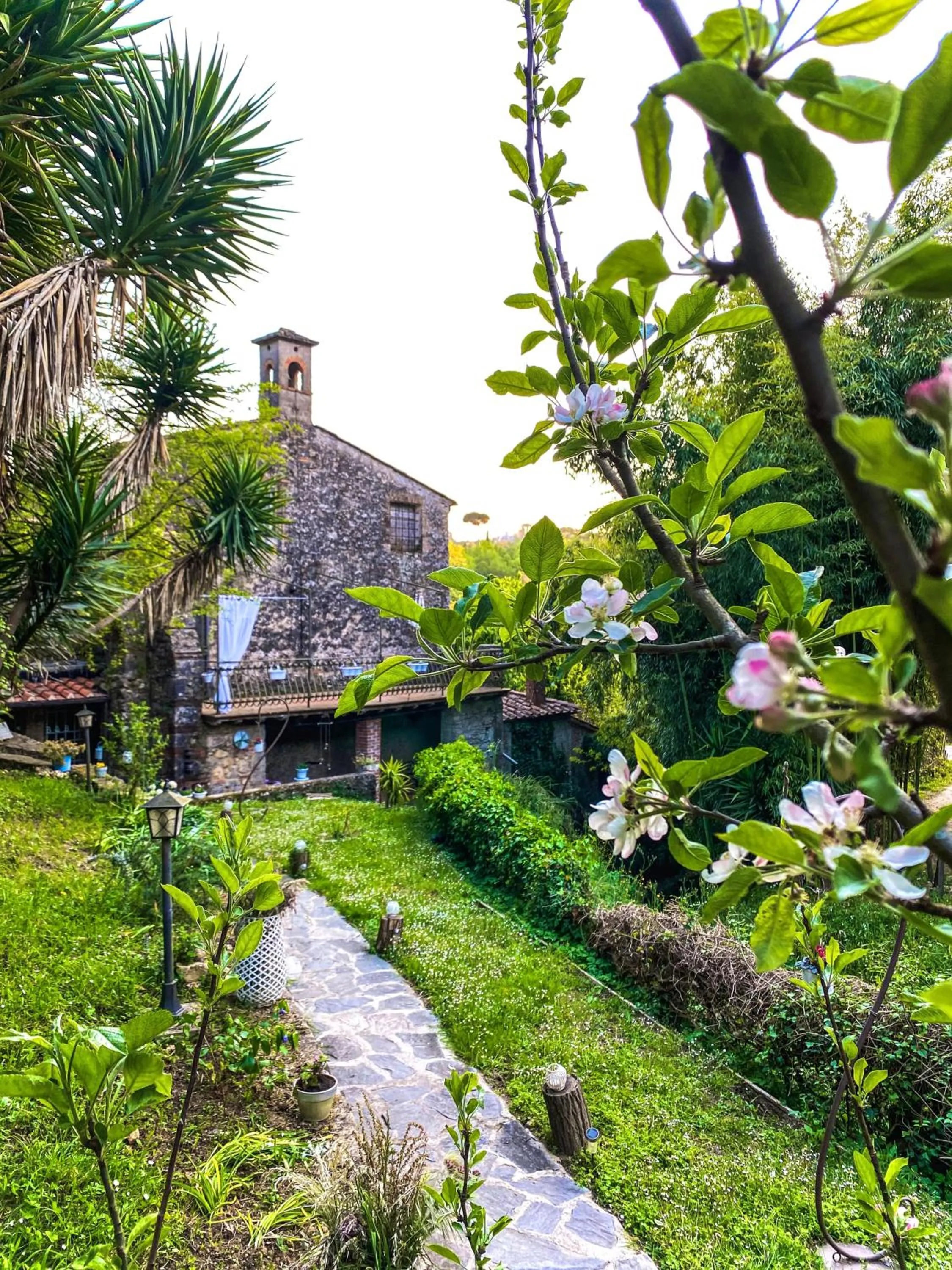 Guest House Antico Frantoio Pietrasanta Affittacamere