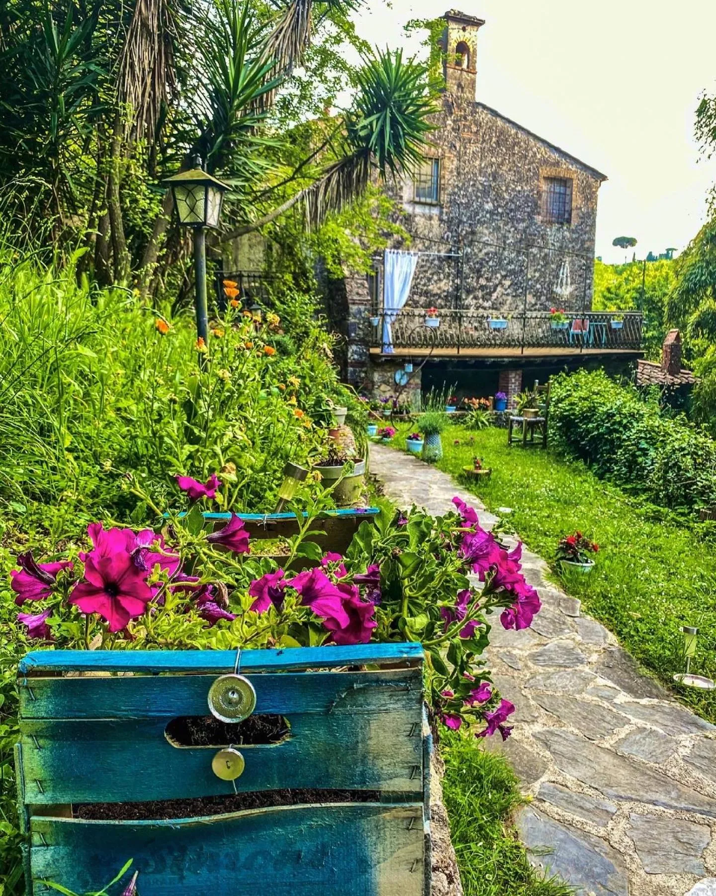 Guest House Antico Frantoio Pietrasanta Affittacamere