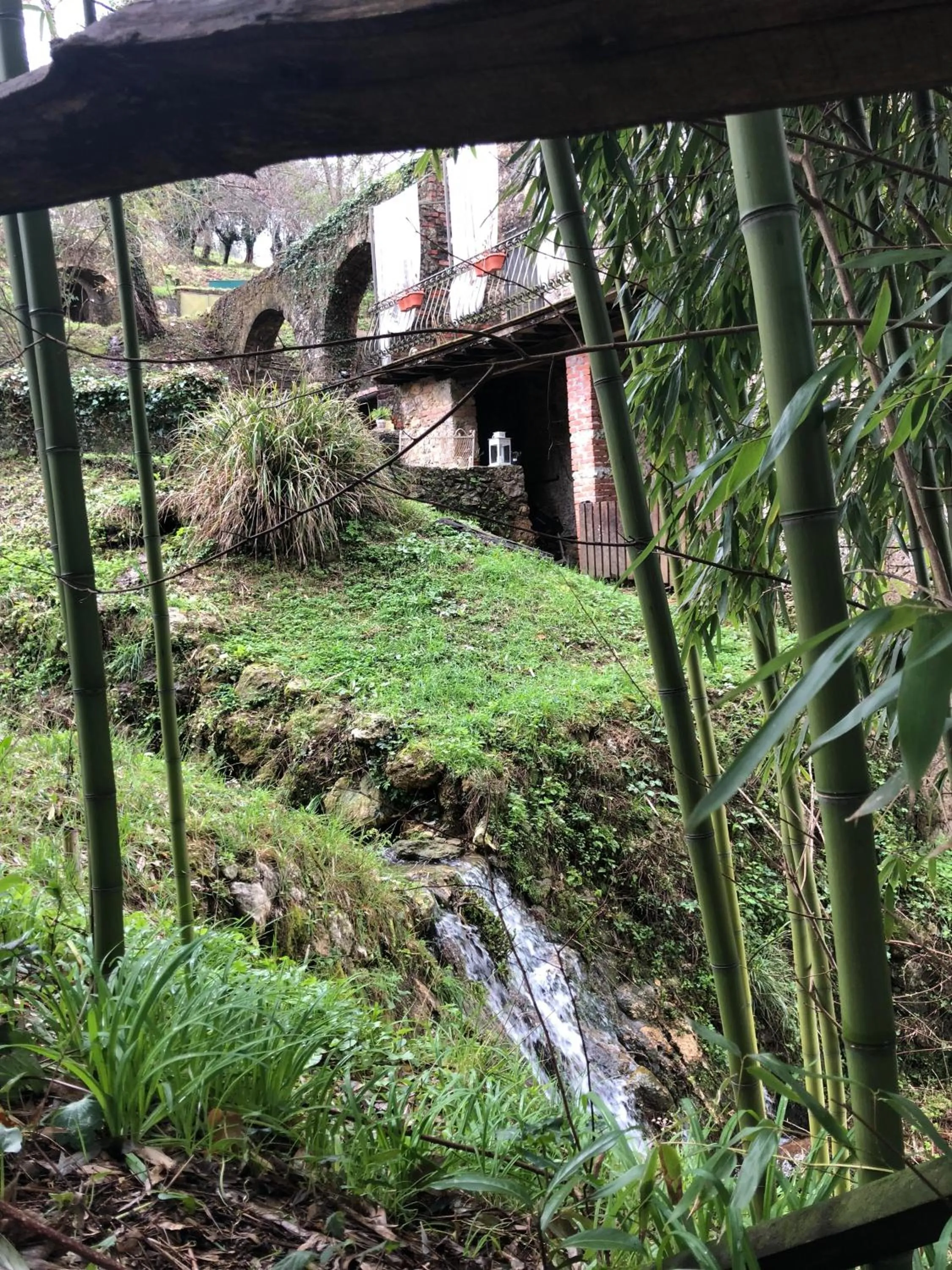 Facade/entrance in Guest House Antico Frantoio Pietrasanta Affittacamere