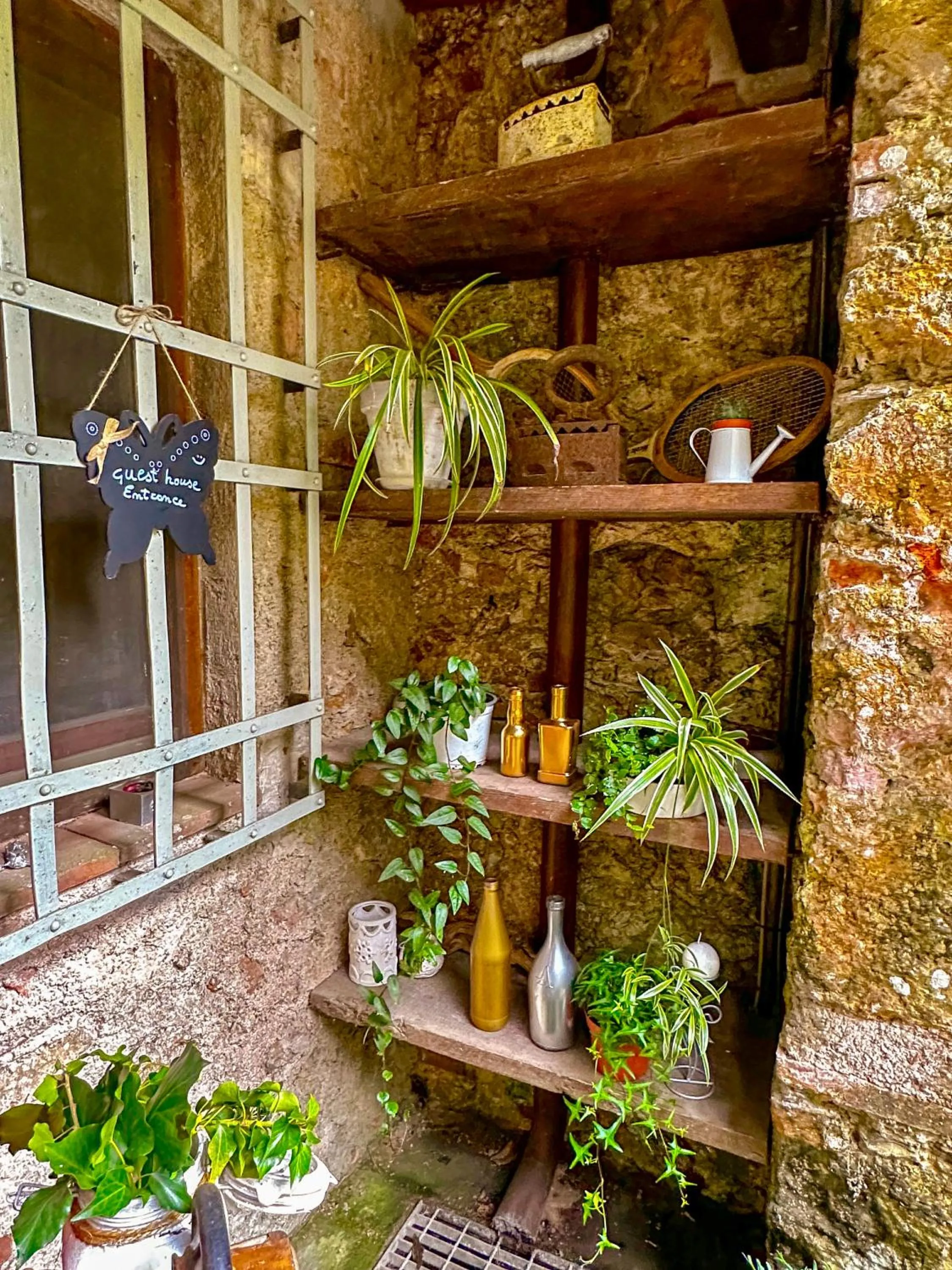 Guest House Antico Frantoio Pietrasanta Affittacamere