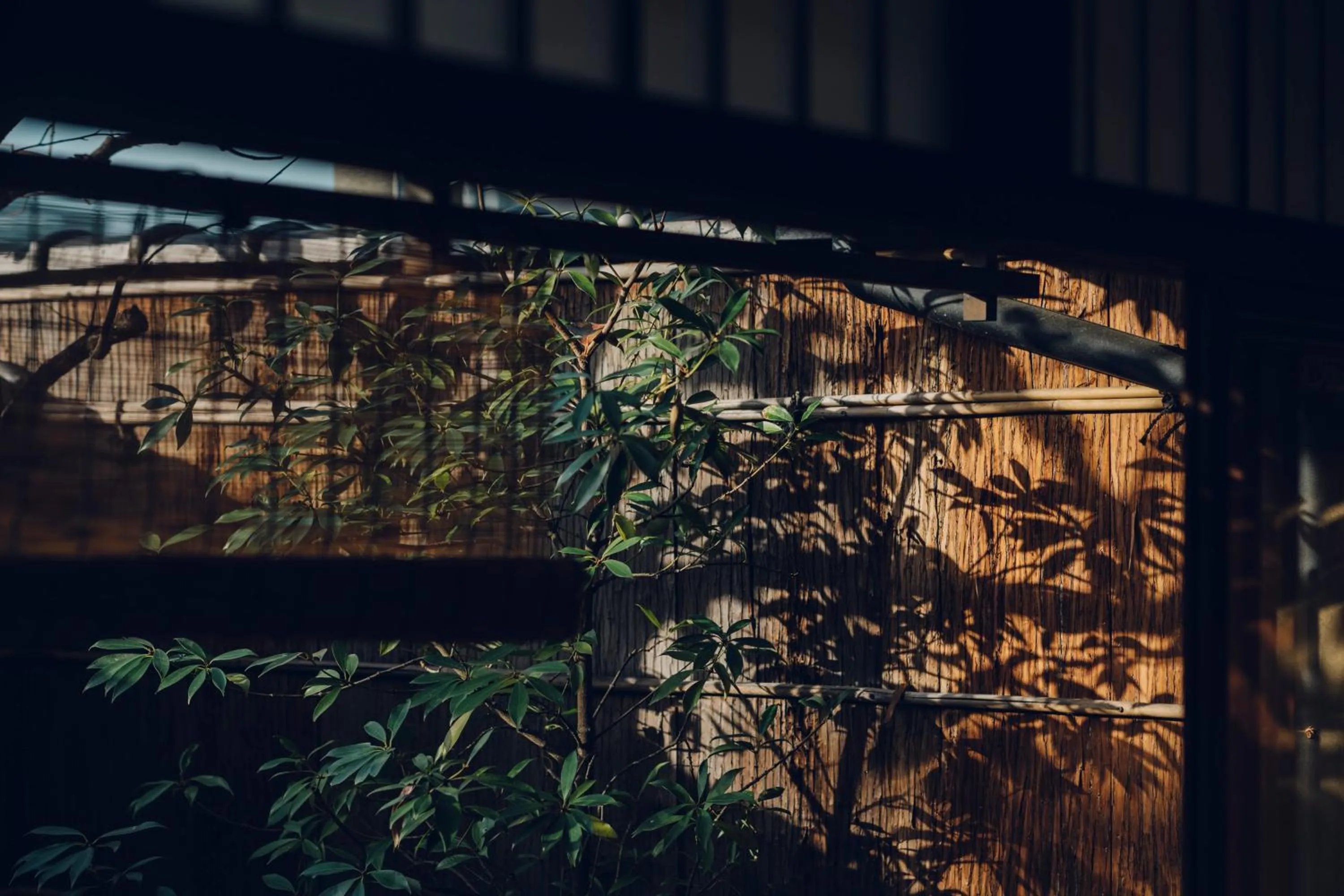 Day in Tsukihi House Kyoto