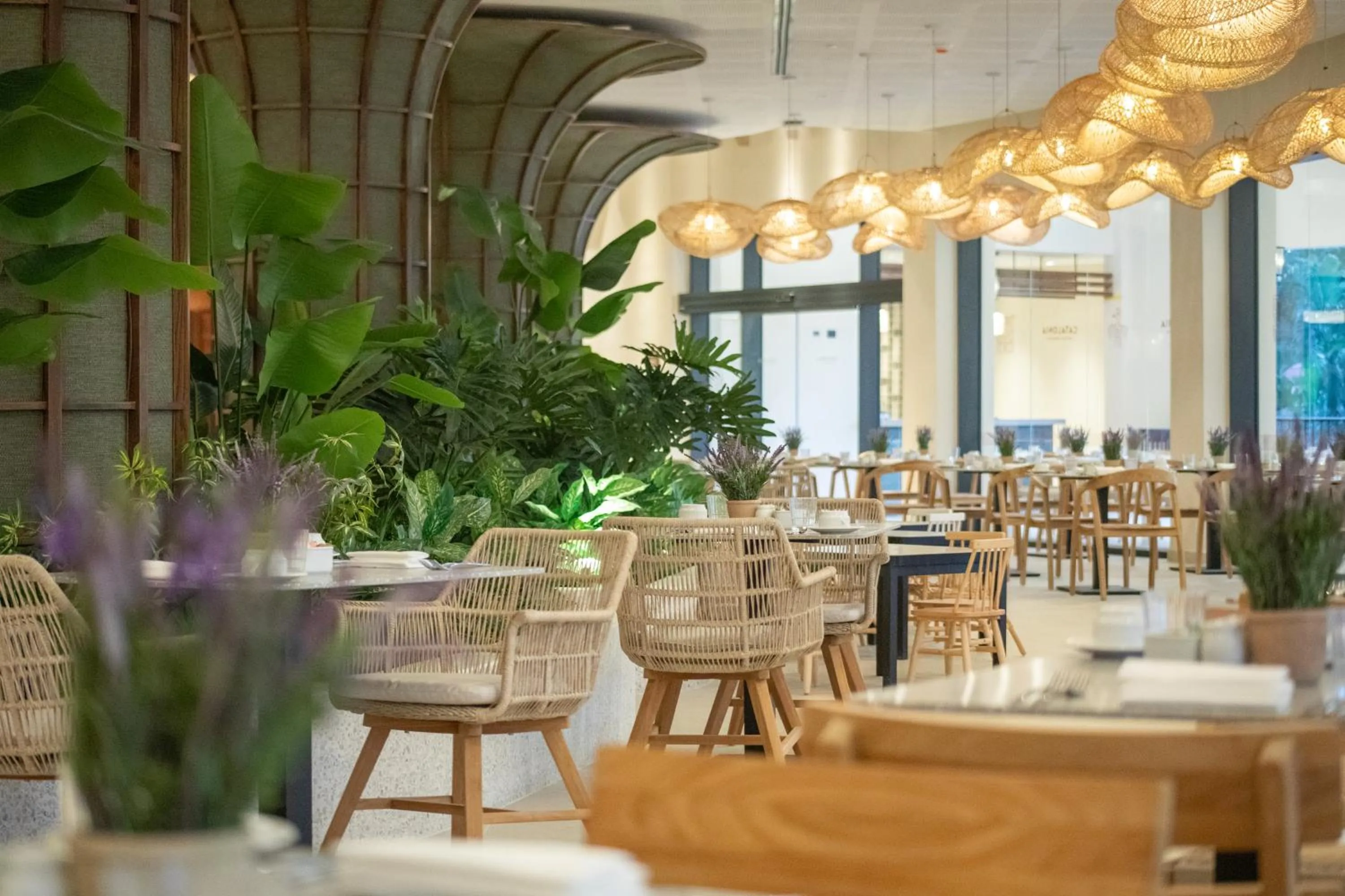 Restaurant/places to eat in Catalonia Bayahibe - All Inclusive