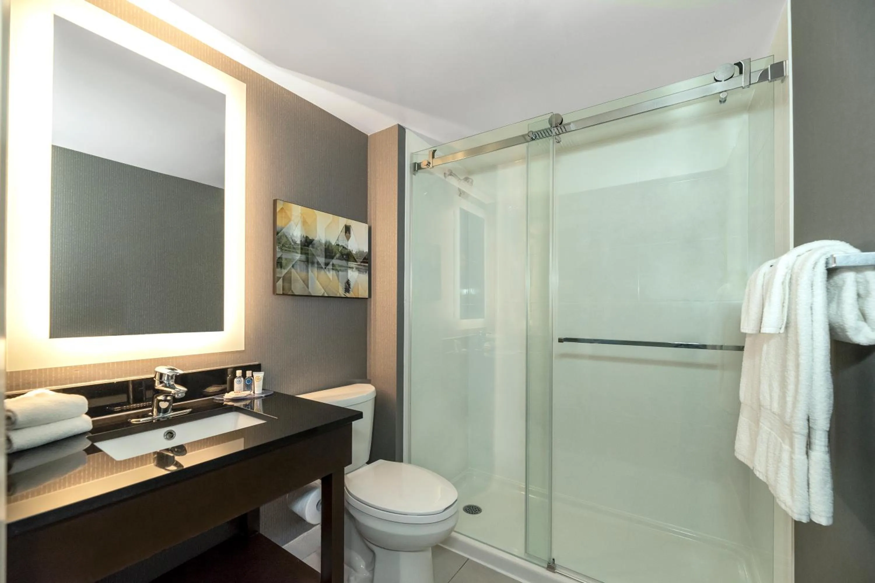 Bathroom in Comfort Inn