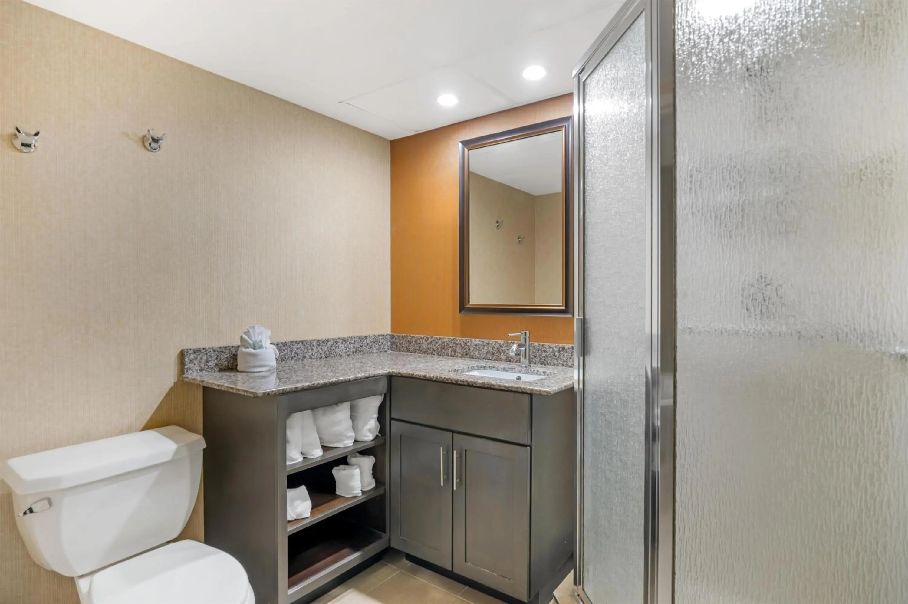 Bathroom in Best Western Suites near Opryland