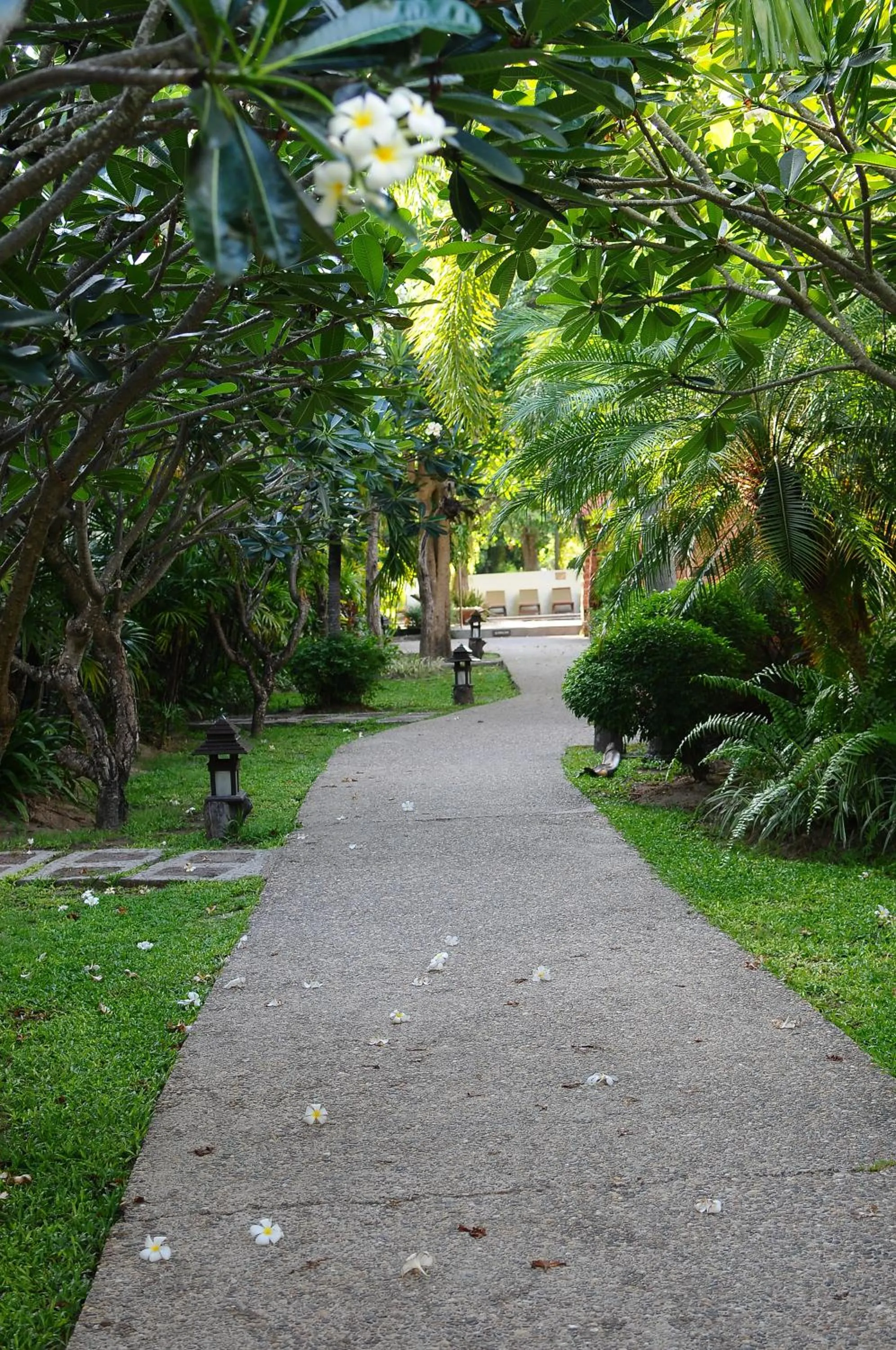 Area and facilities in Railay Bay Resort & Spa
