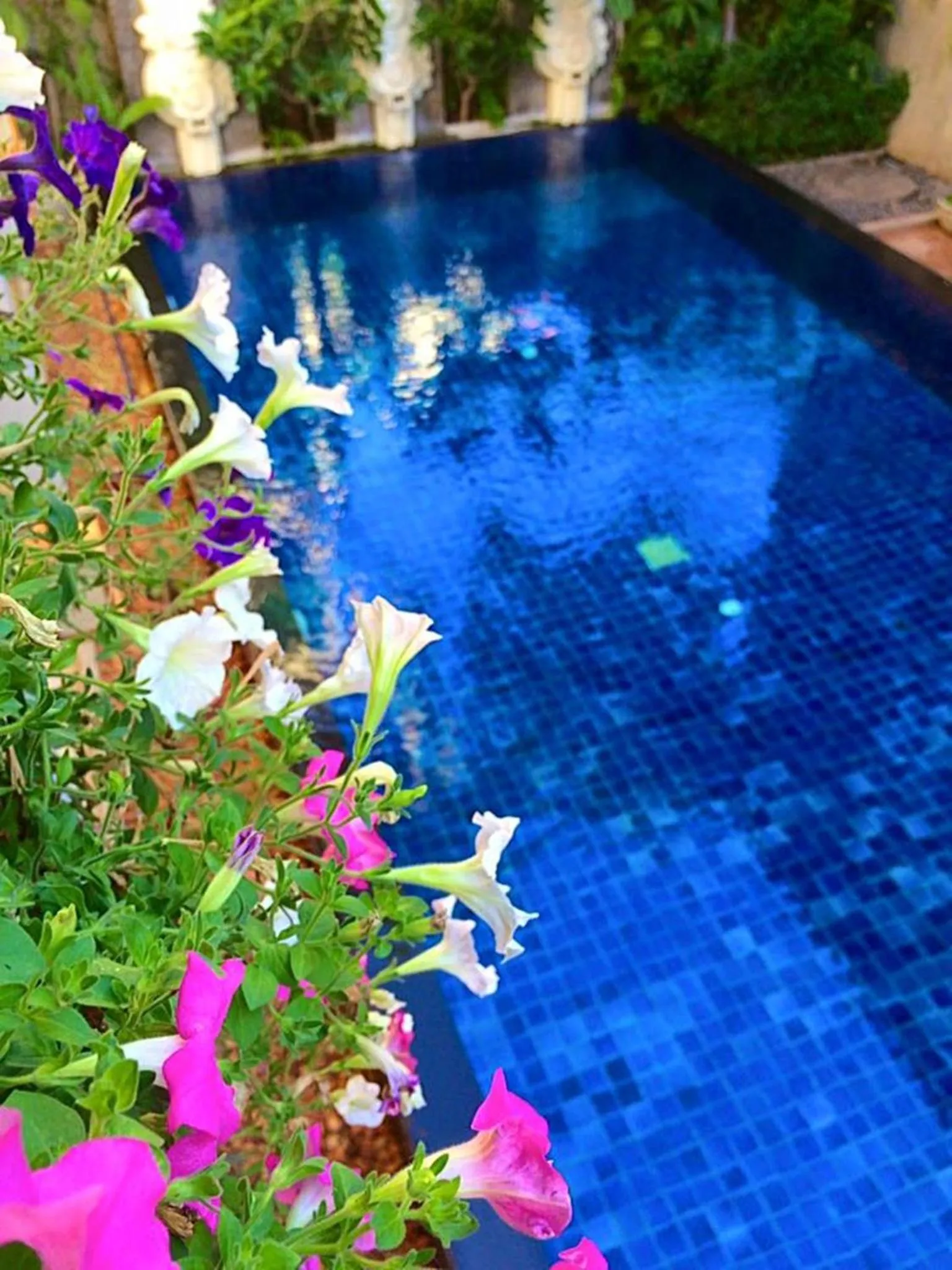 Swimming pool in Vieng Mantra Hotel