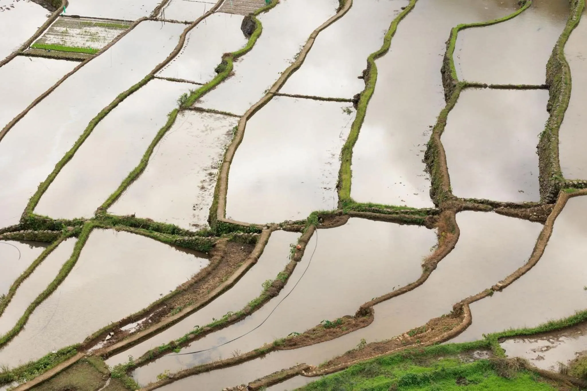 BATAD CRISTINA'S Main Village INN & Restaurant