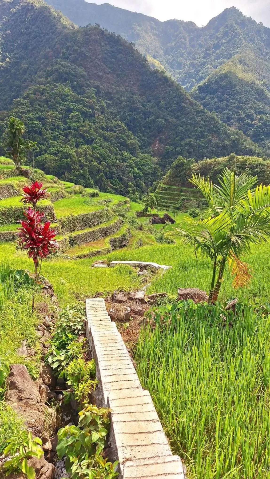 BATAD CRISTINA'S Main Village INN & Restaurant