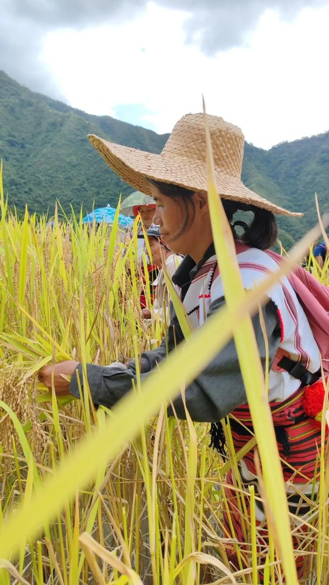BATAD CRISTINA'S Main Village INN & Restaurant