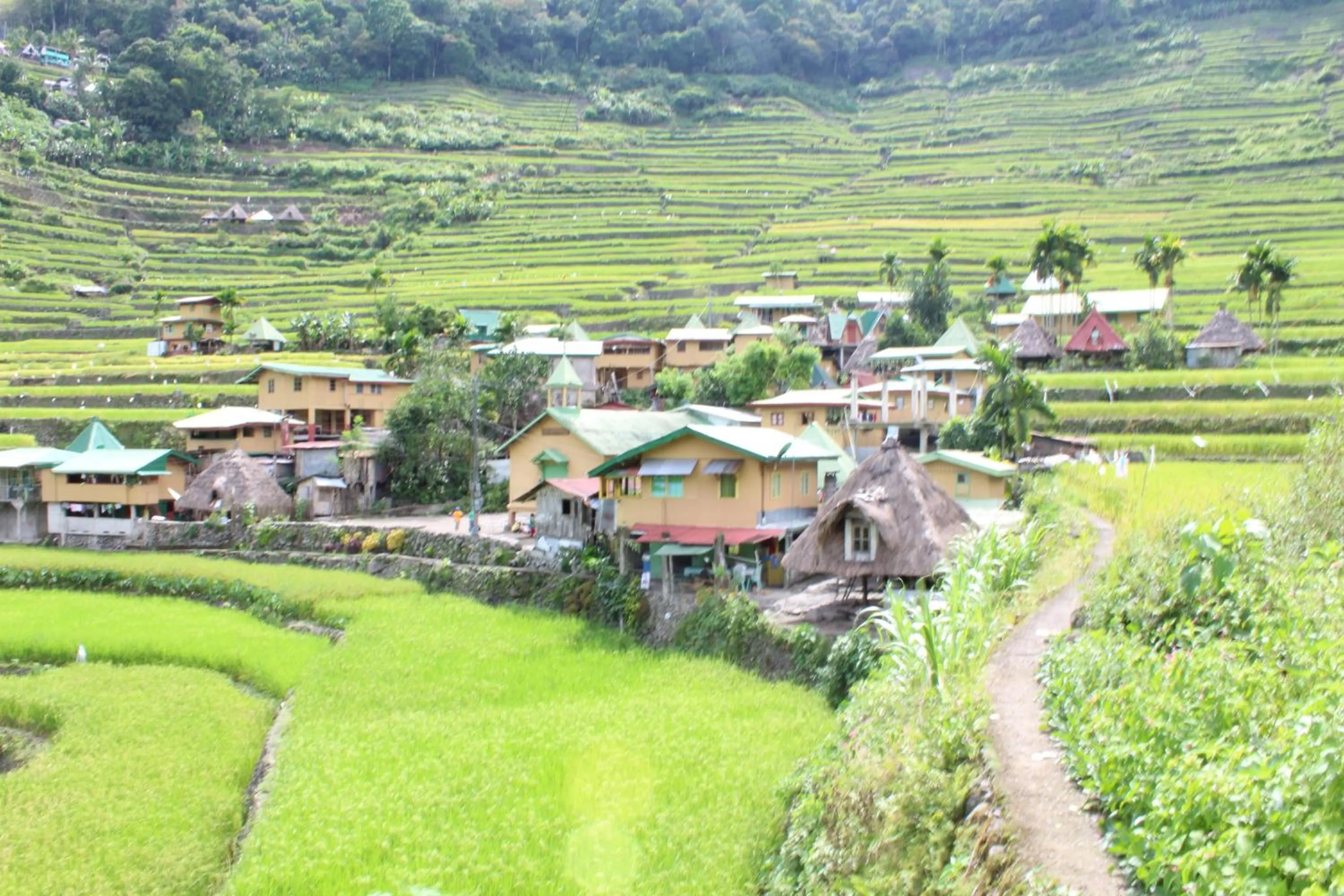 BATAD CRISTINA'S Main Village INN & Restaurant