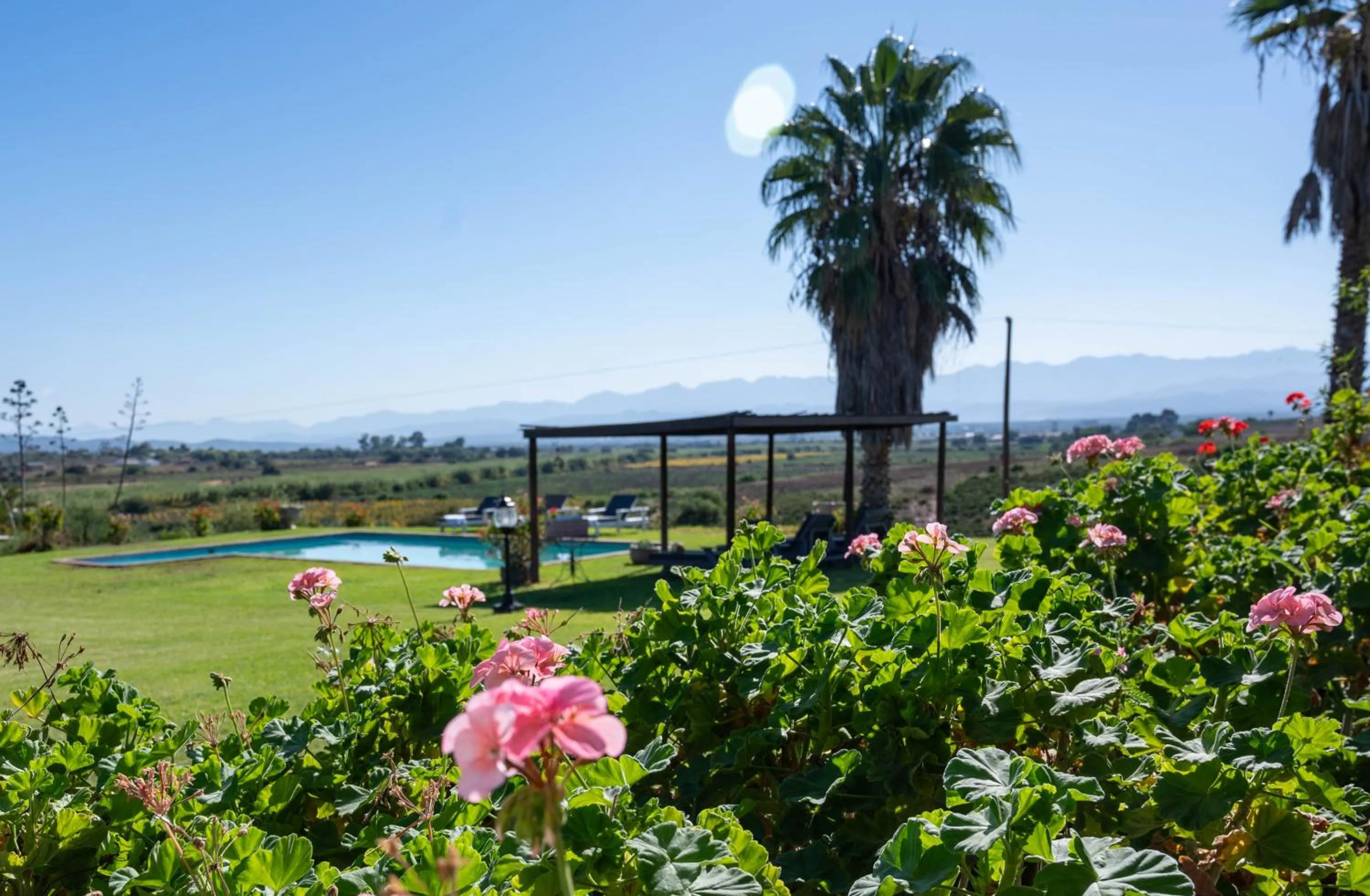 Natural landscape in De Denne Country Guest House