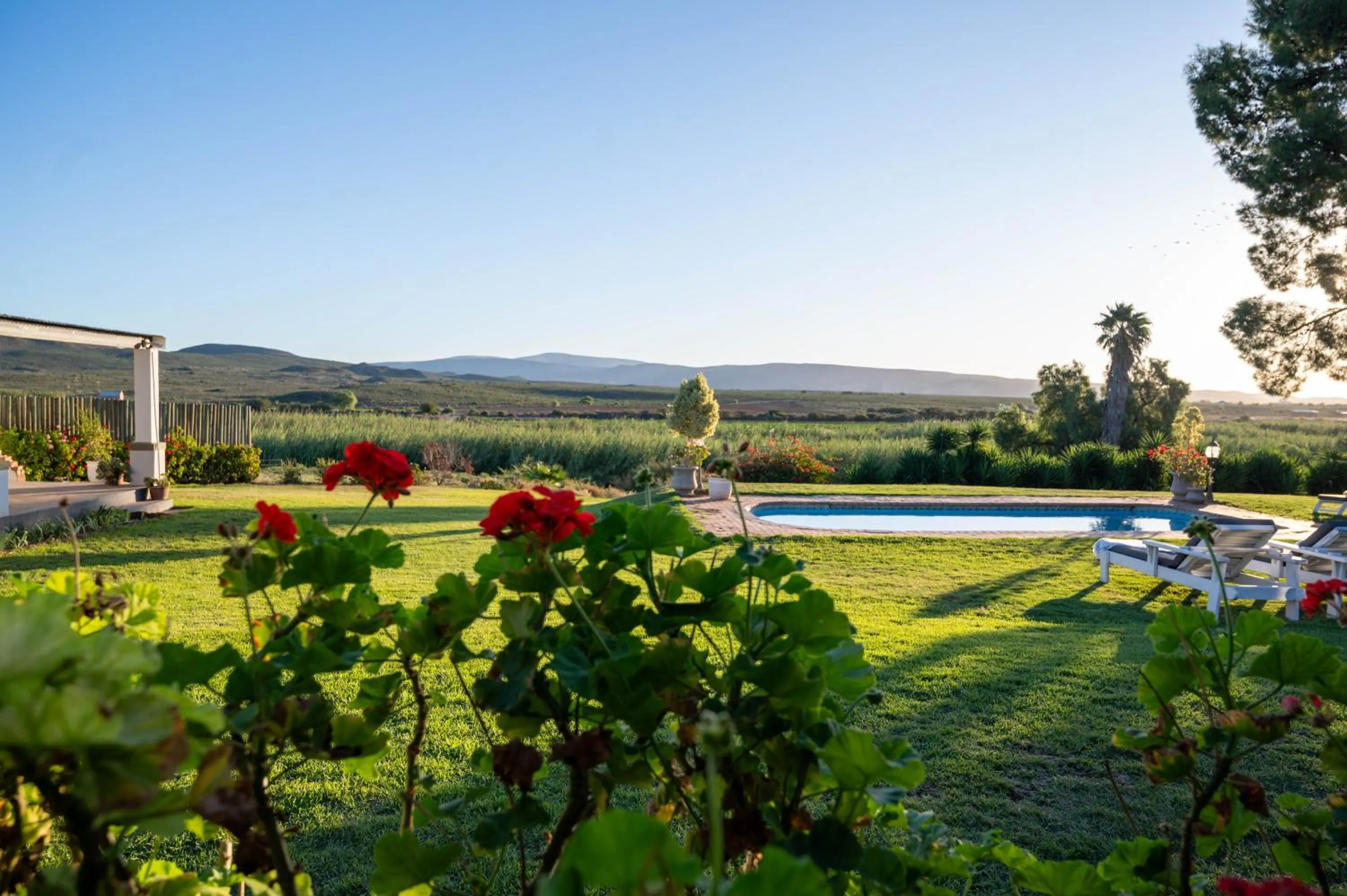 Natural landscape in De Denne Country Guest House