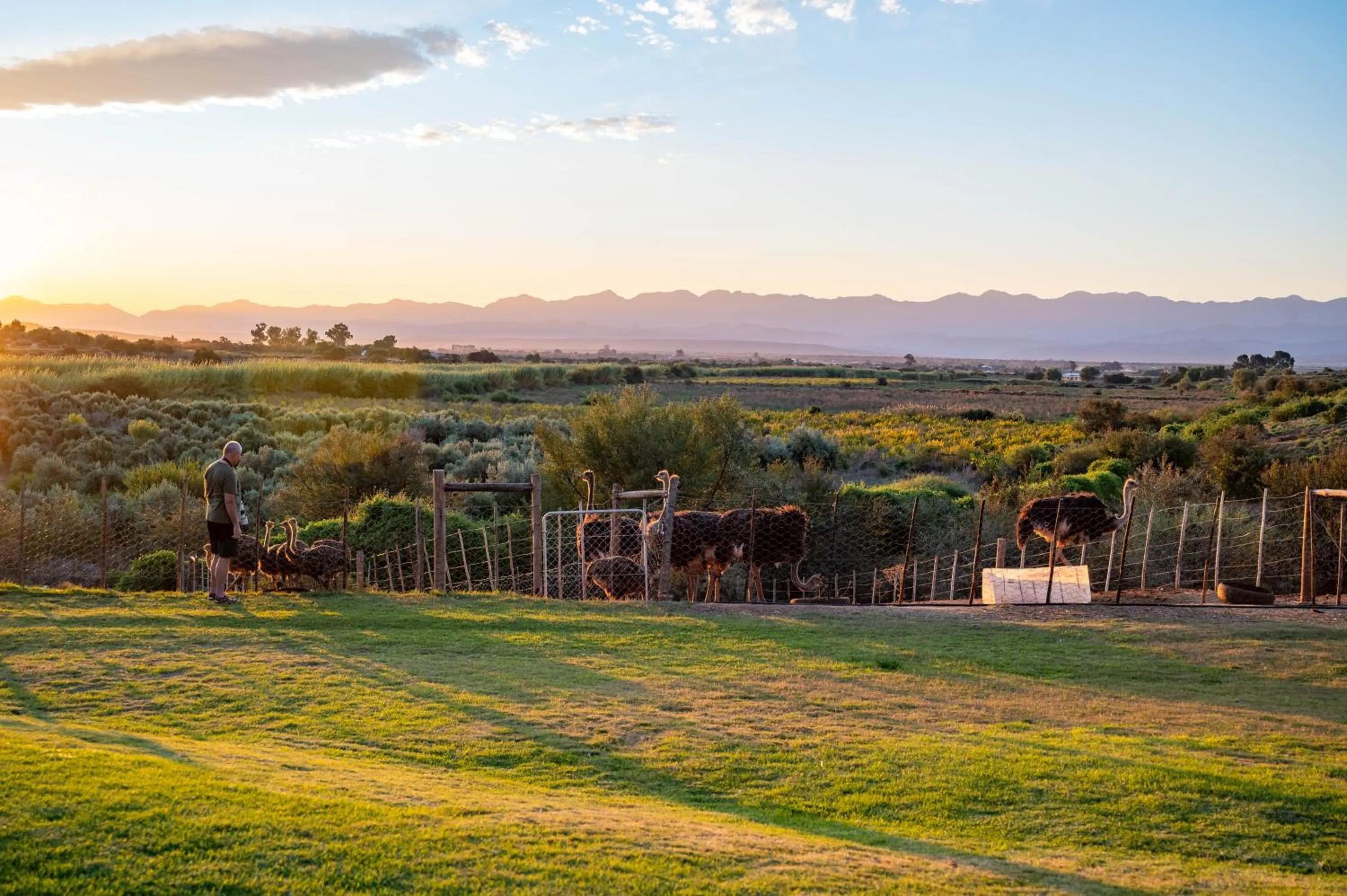 Natural landscape in De Denne Country Guest House