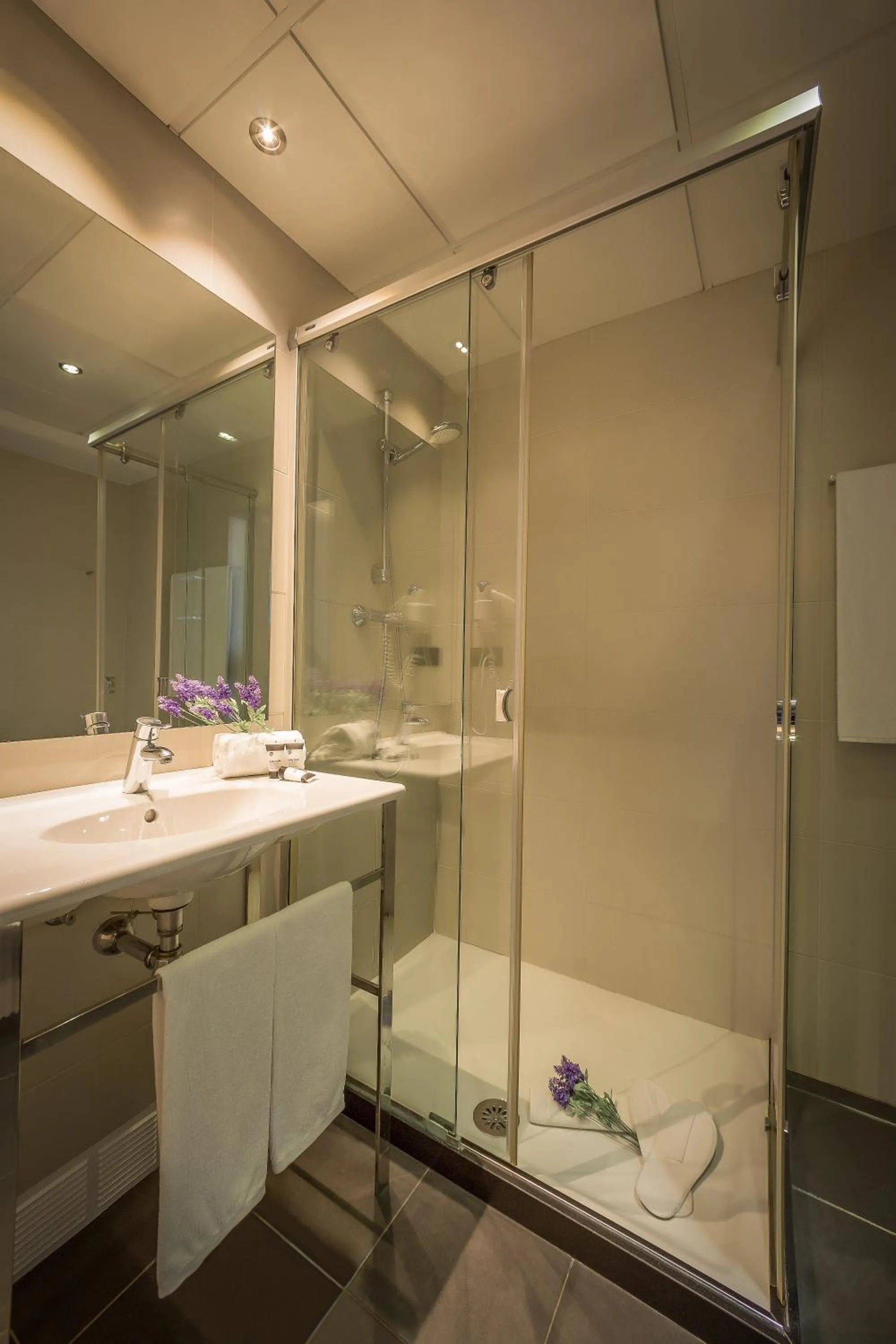 Shower in SM Hotel Teatre Auditori