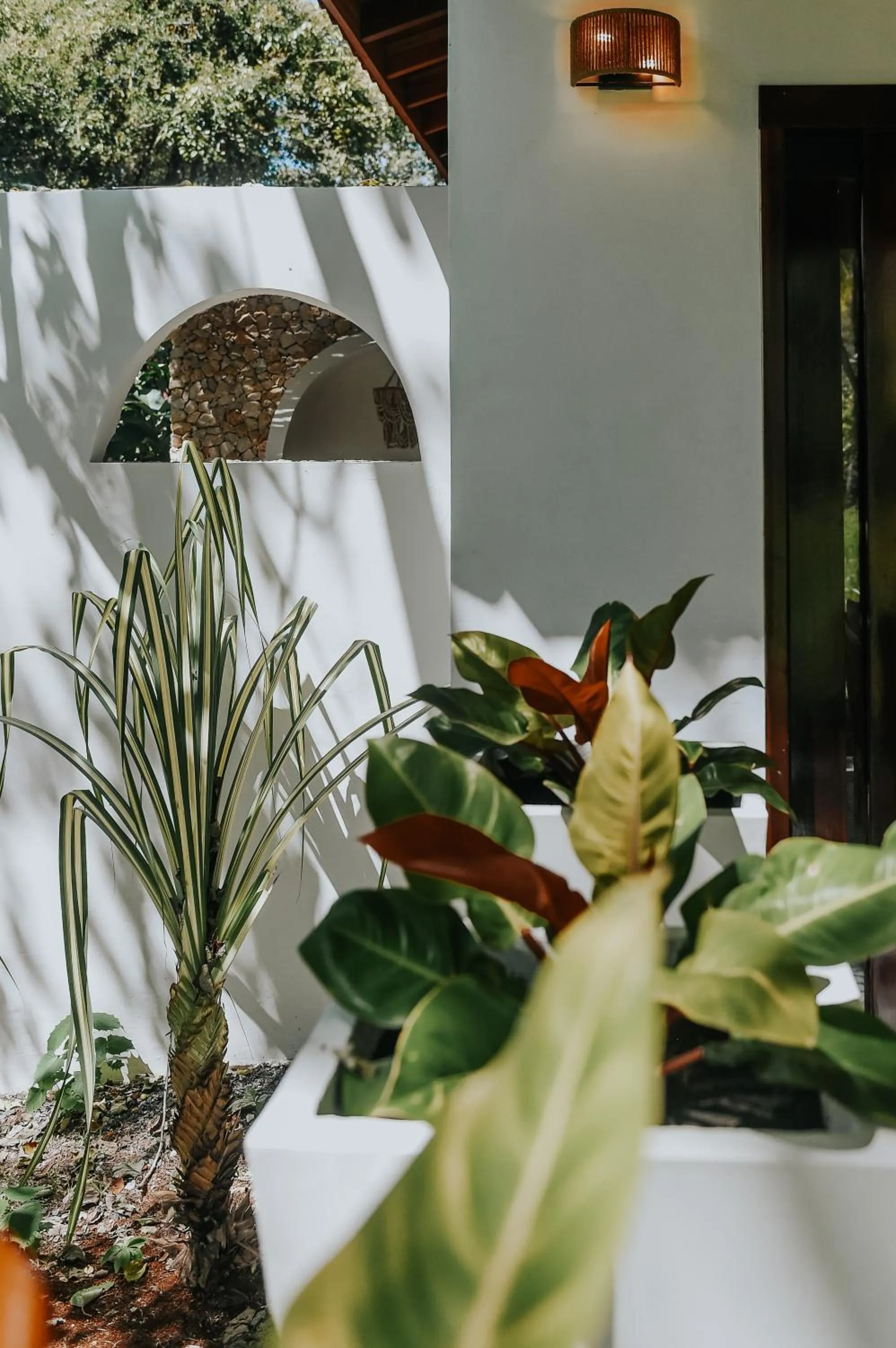 Garden in Villa Coco