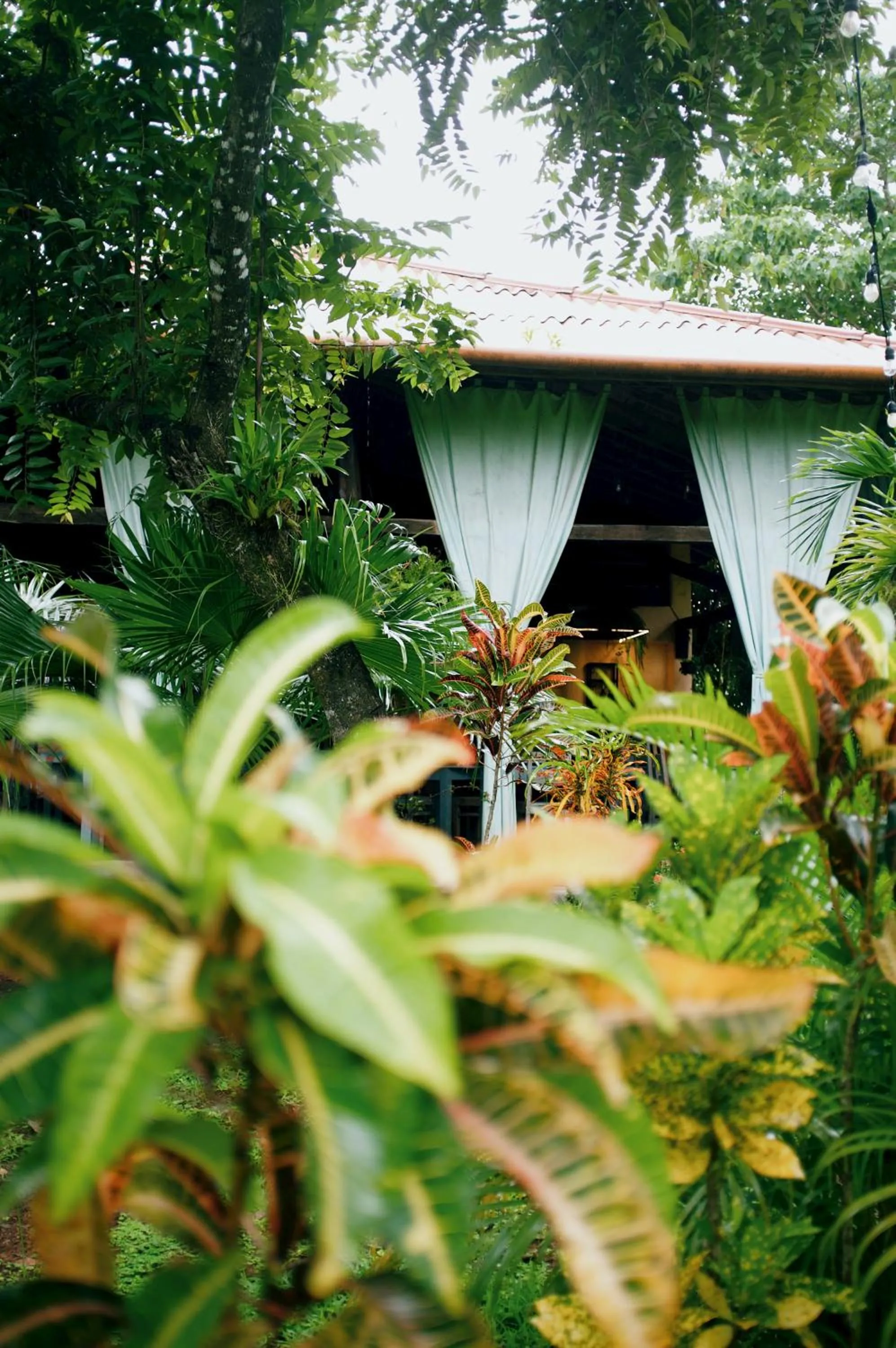 Restaurant/places to eat in Villa Coco