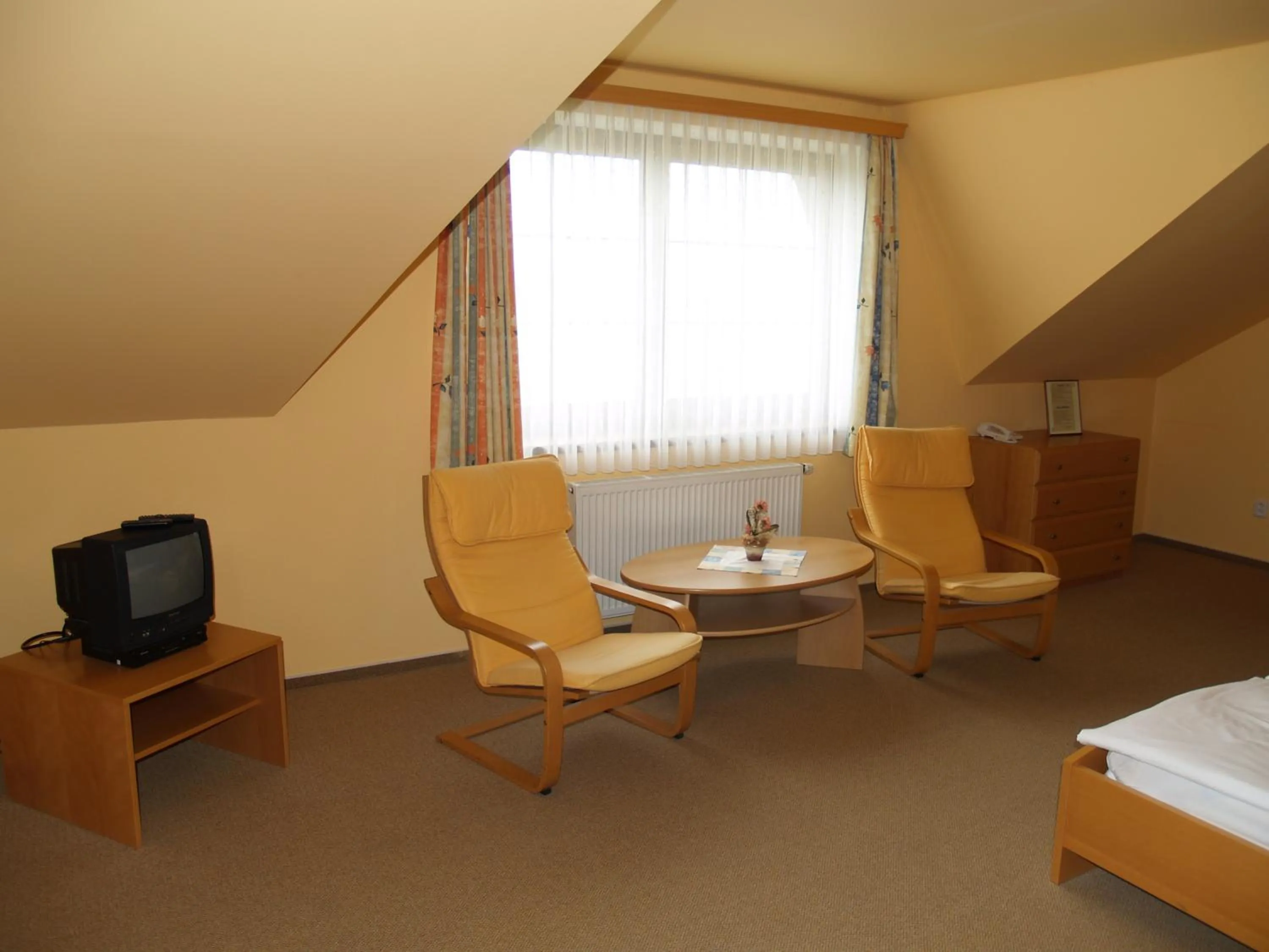 TV and multimedia in Motel U Krbu