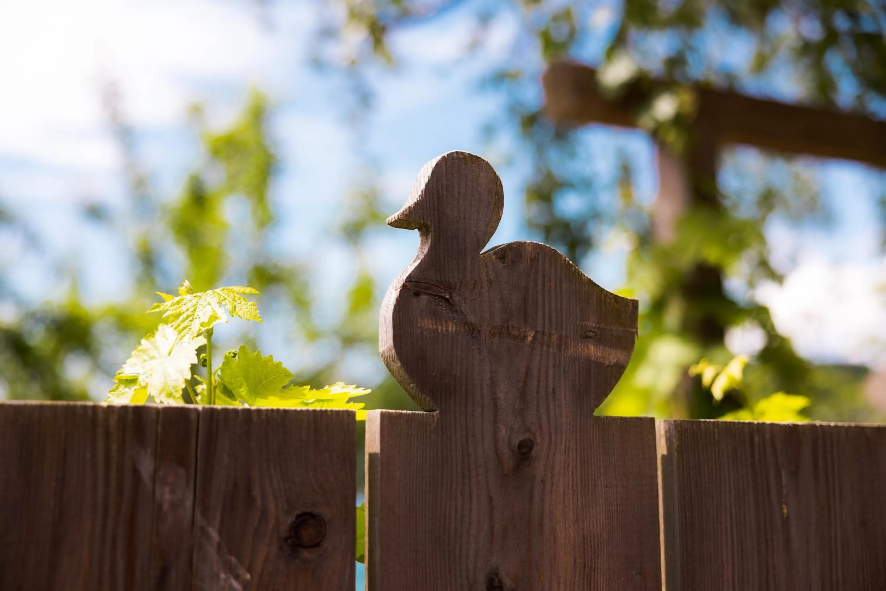 Garden in Pension Antonia