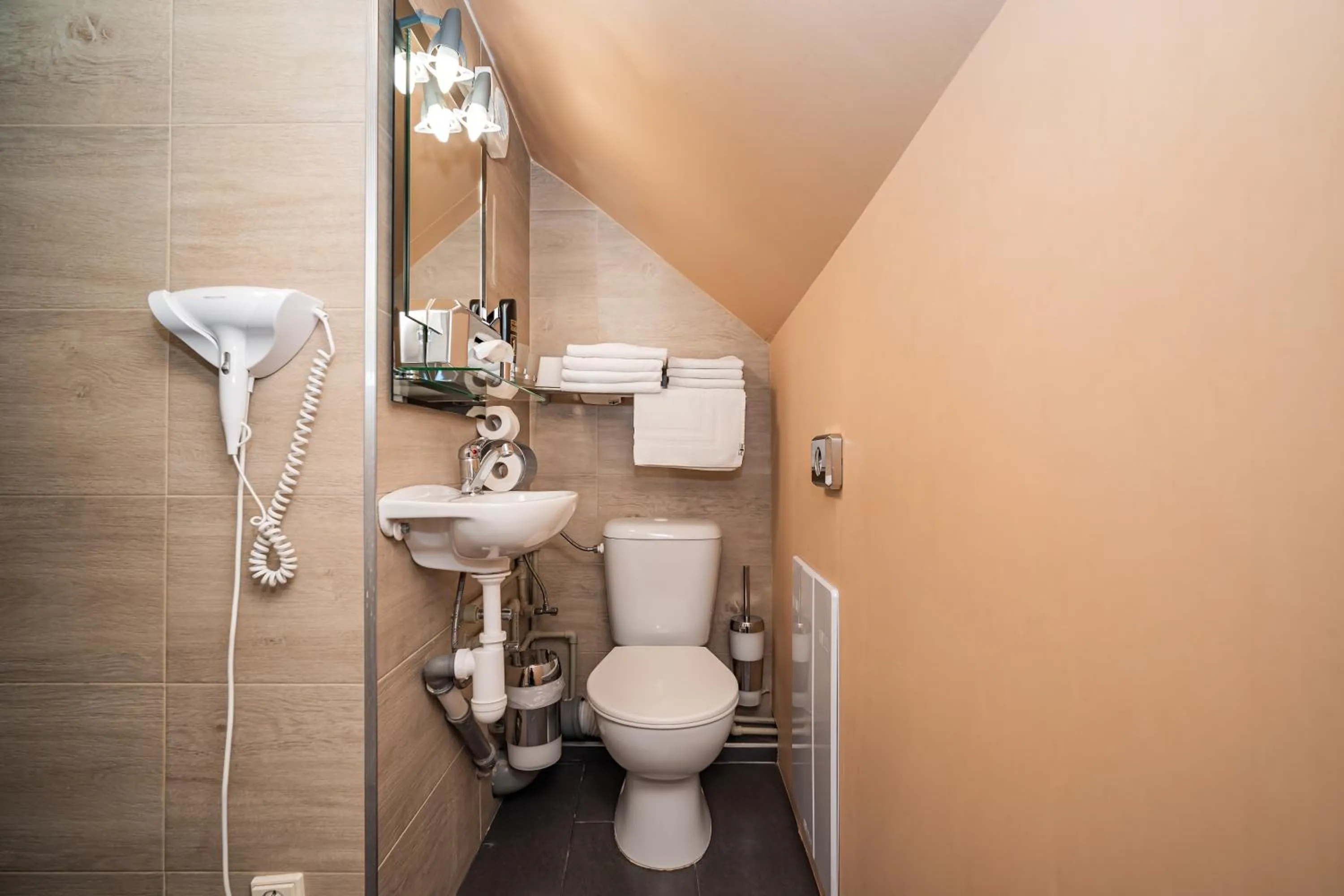 Toilet in Hotel Czechia
