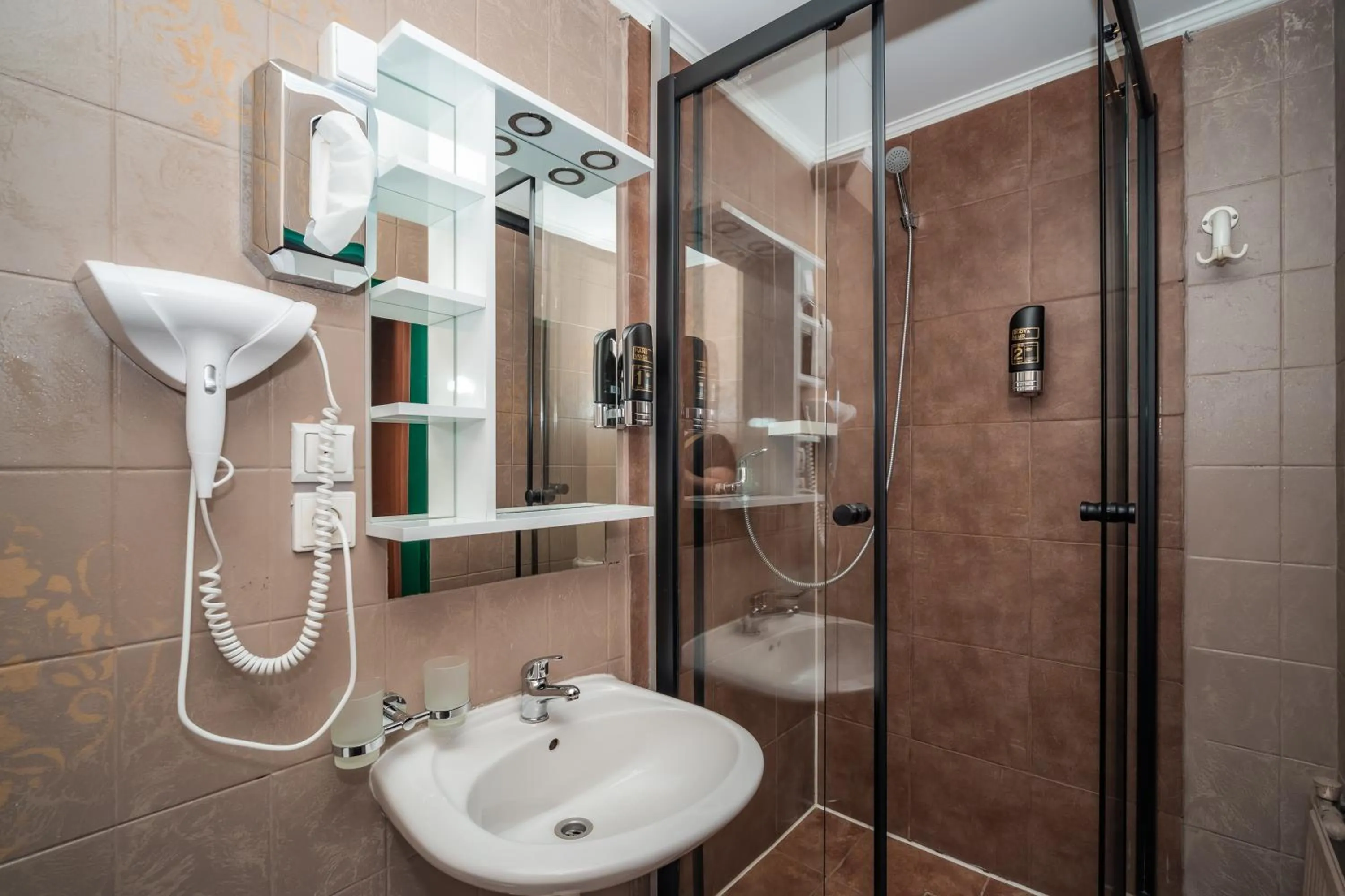 Shower in Hotel Czechia