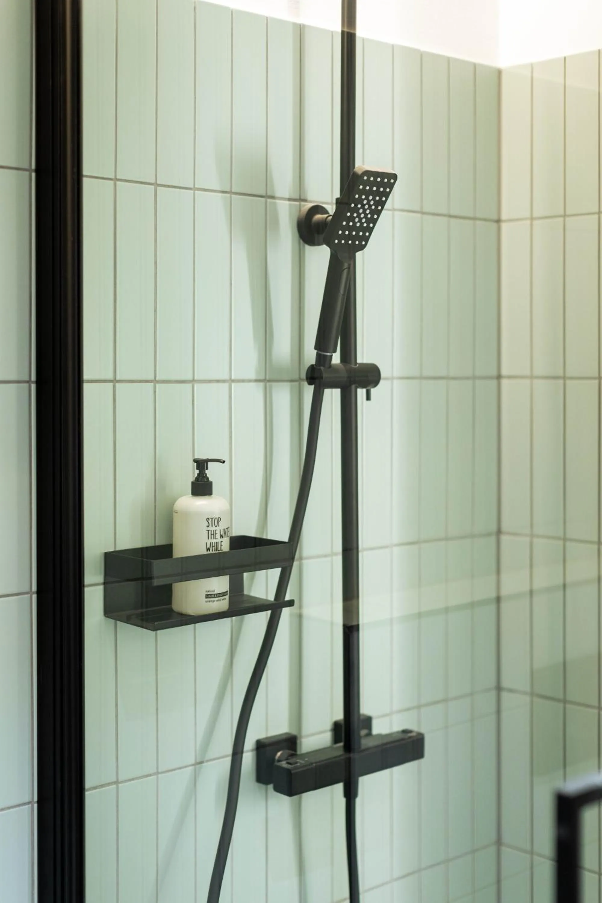 Shower in Urban Jungle Apartments