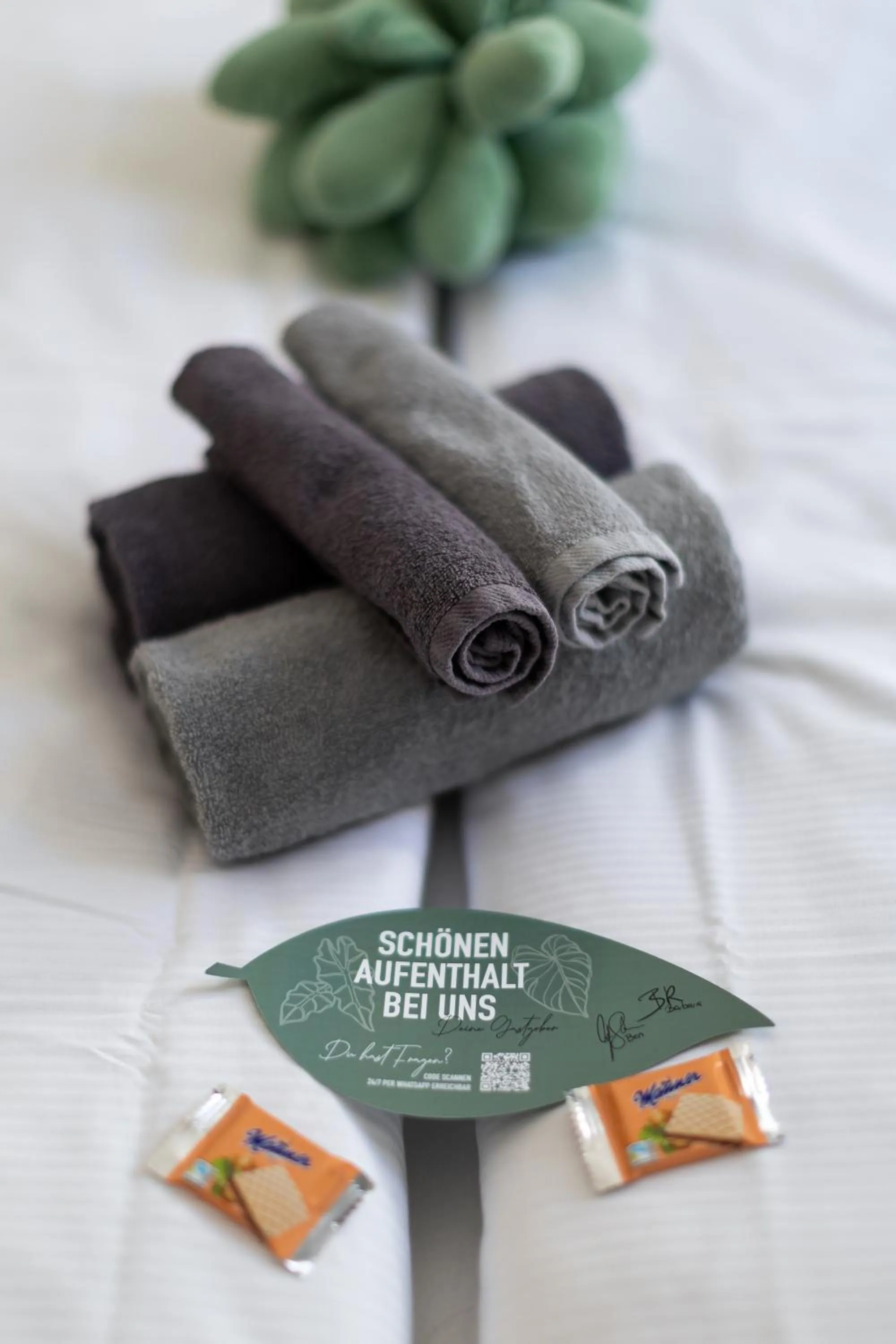 towels in Urban Jungle Apartments