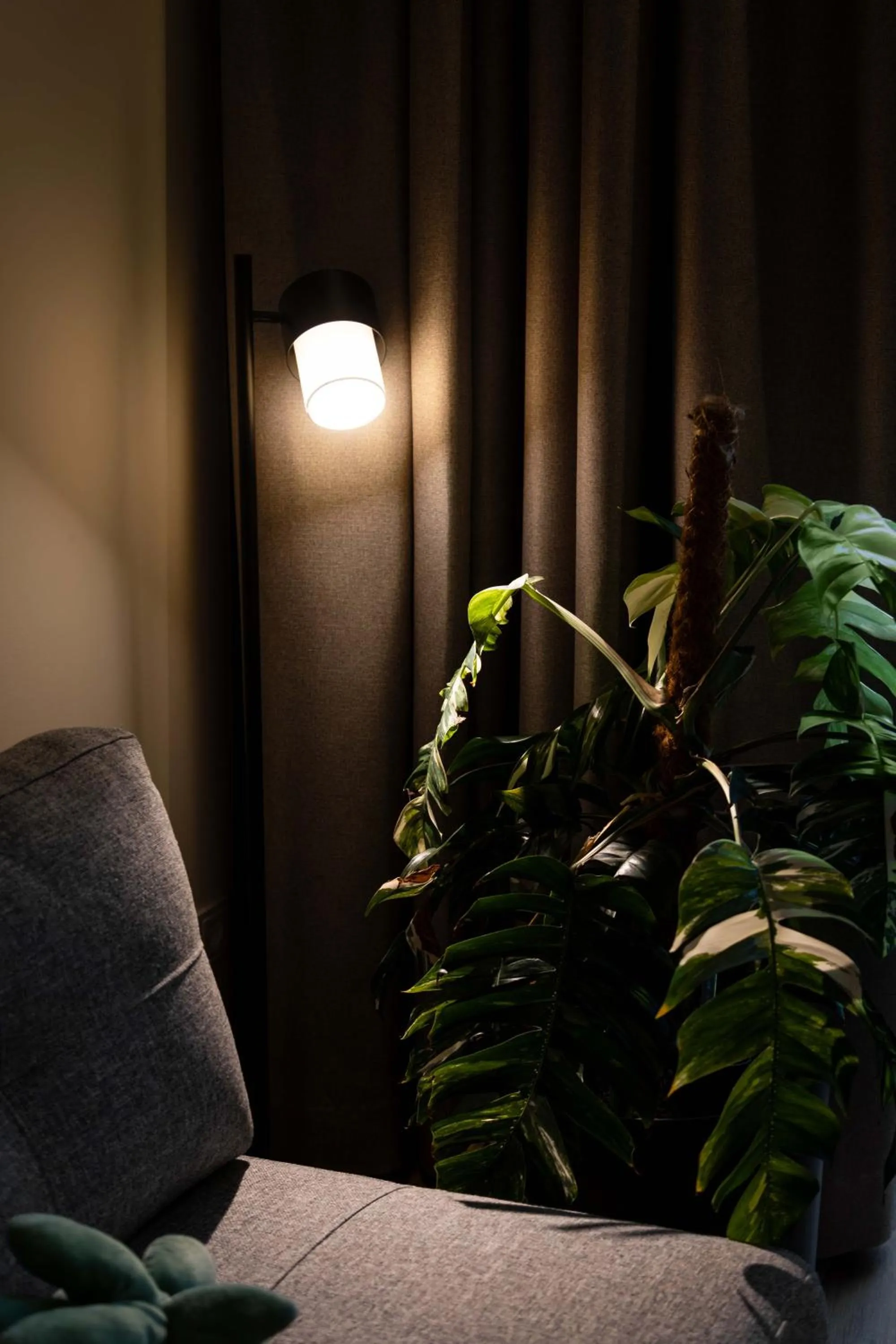 Living room in Urban Jungle Apartments