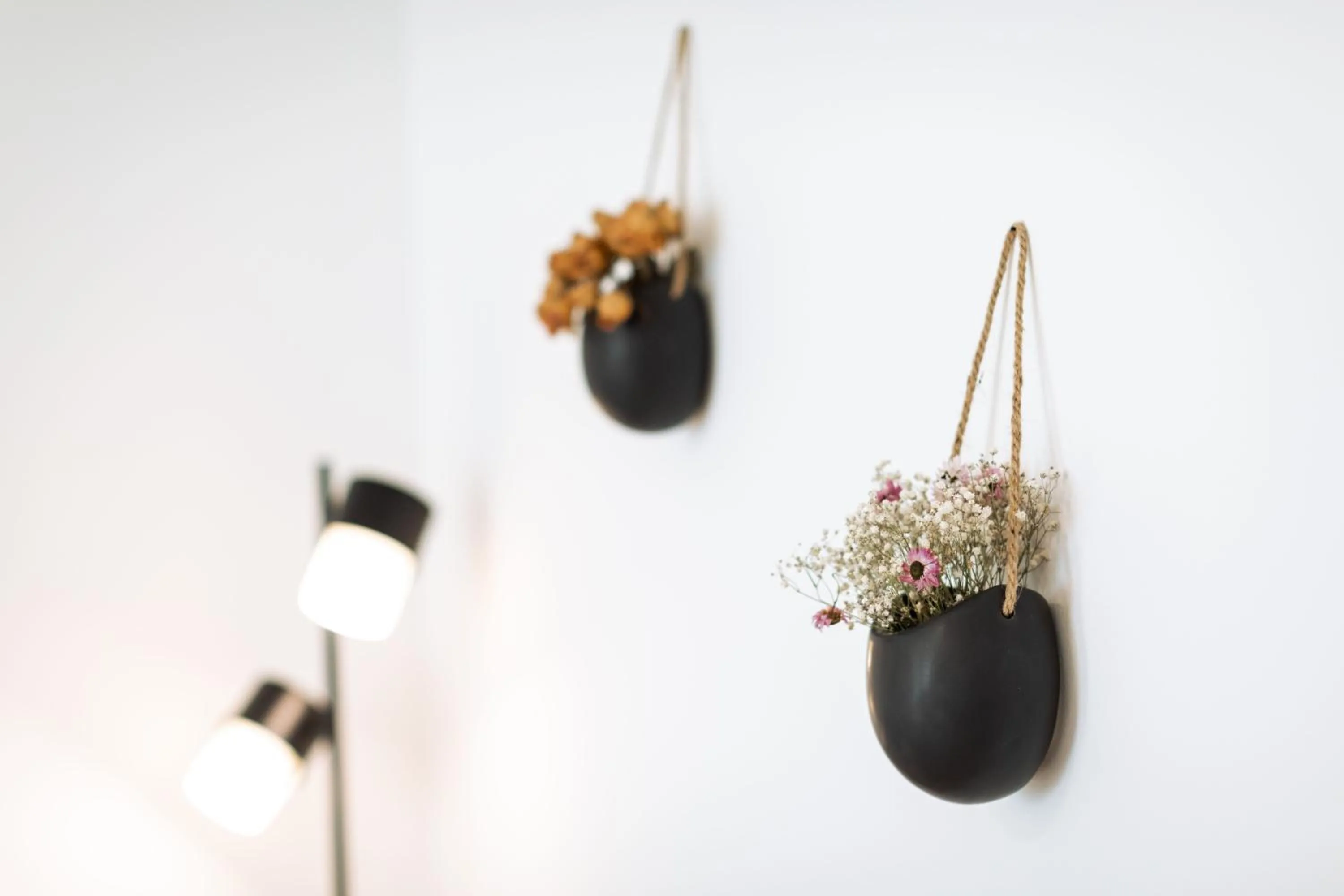 Living room in Urban Jungle Apartments