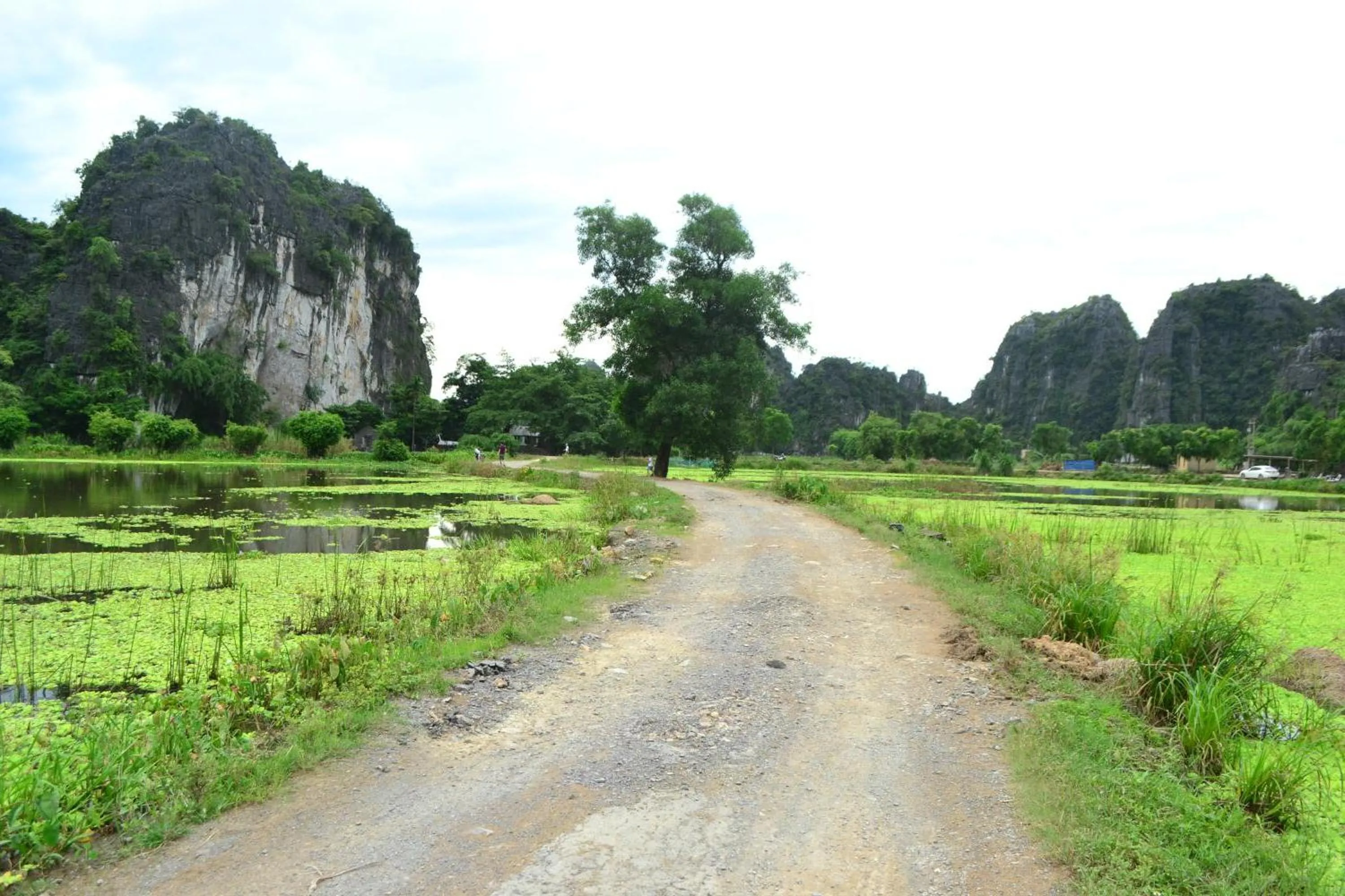 Day in Tam Coc Smile Homestay