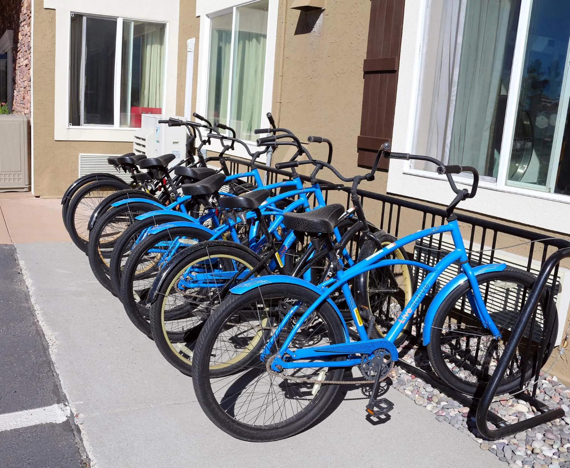 Day in Yellowstone Park Hotel