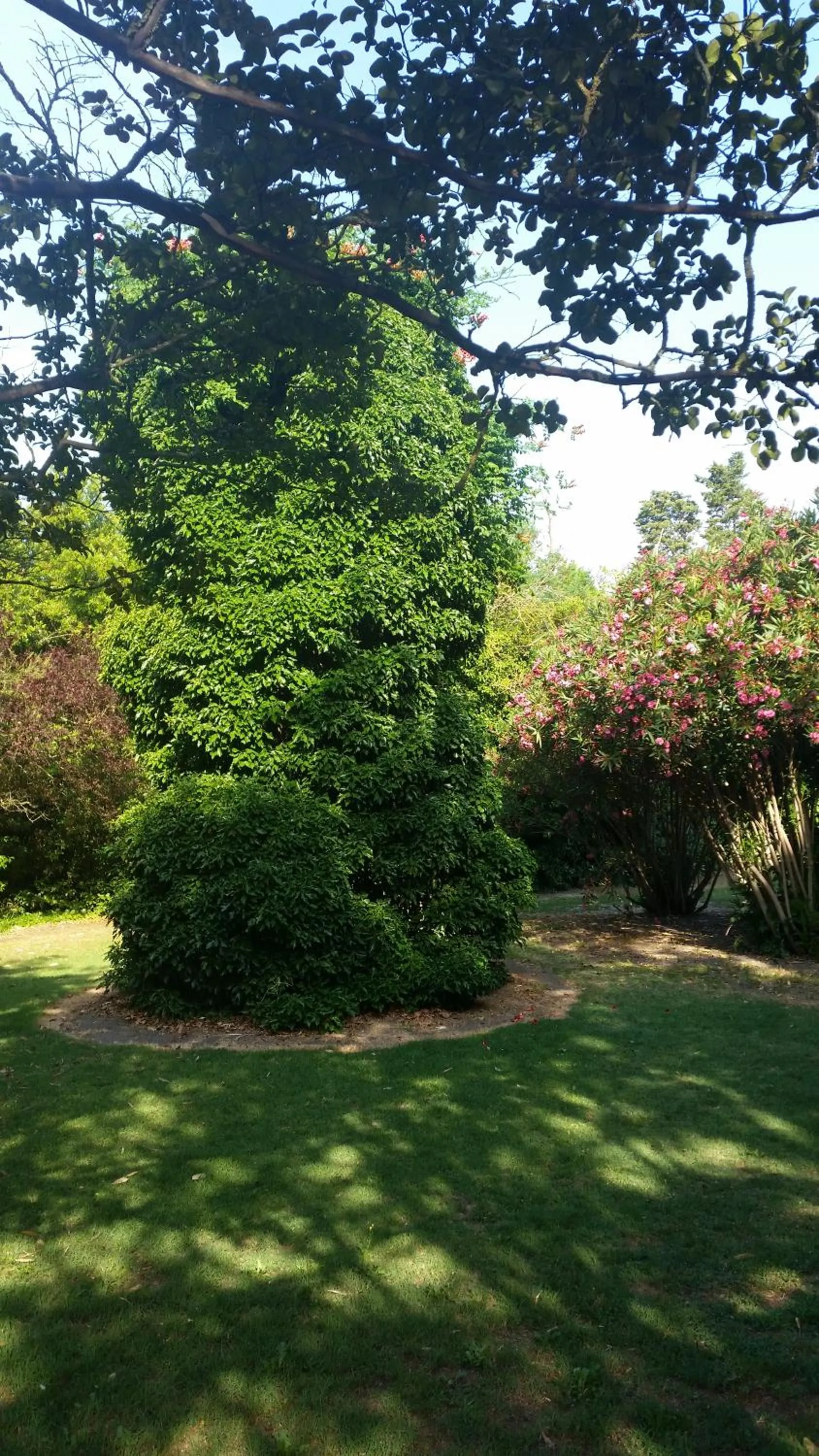 Garden in Le Mas d'Icard