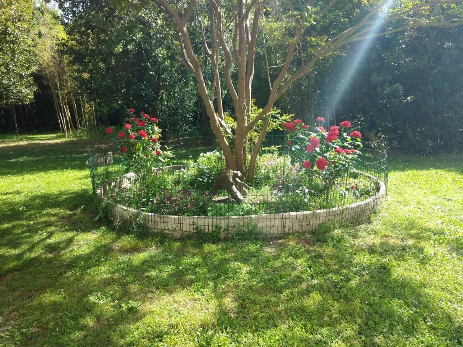 Garden in Le Mas d'Icard