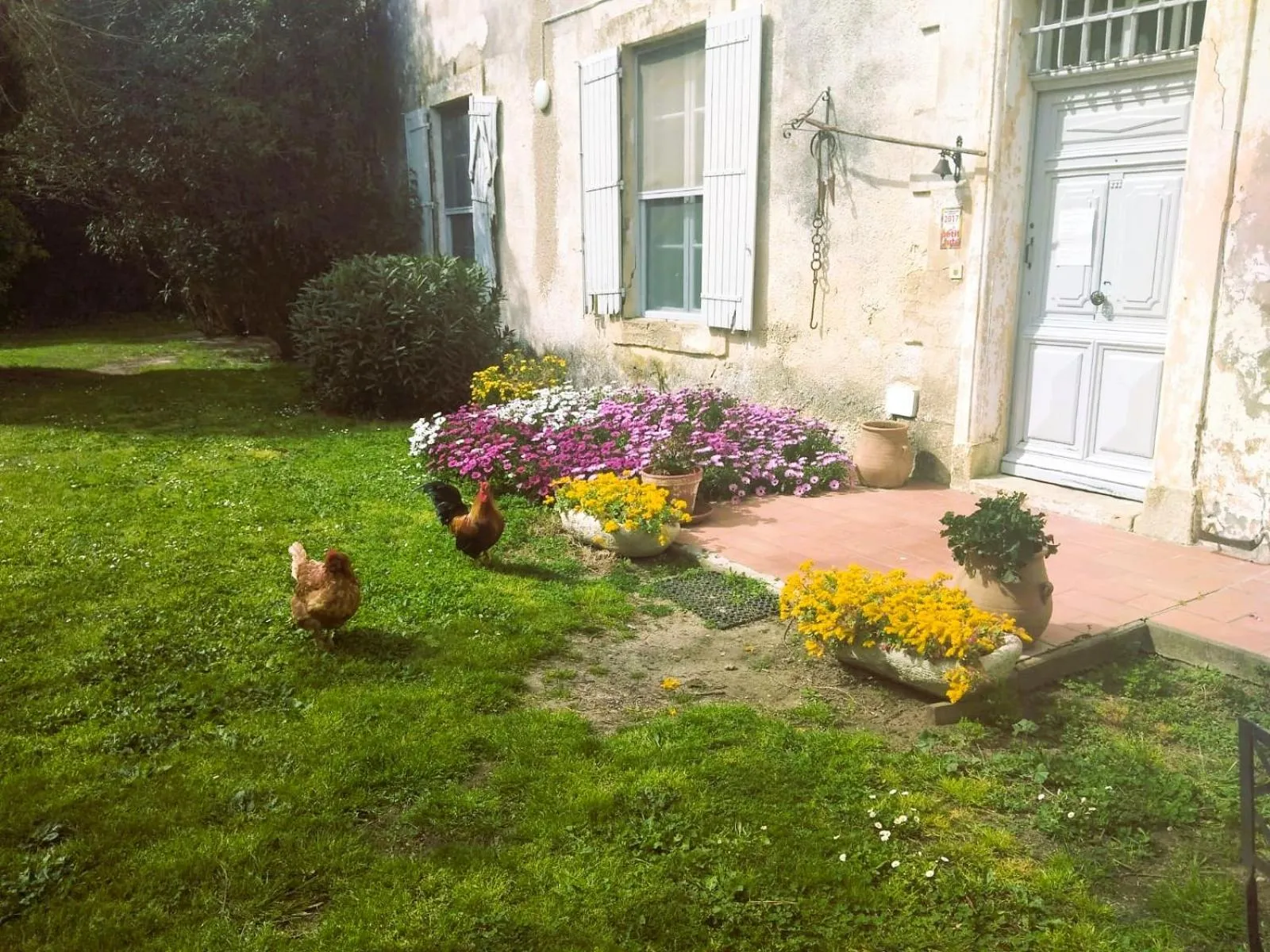 Facade/entrance in Le Mas d'Icard