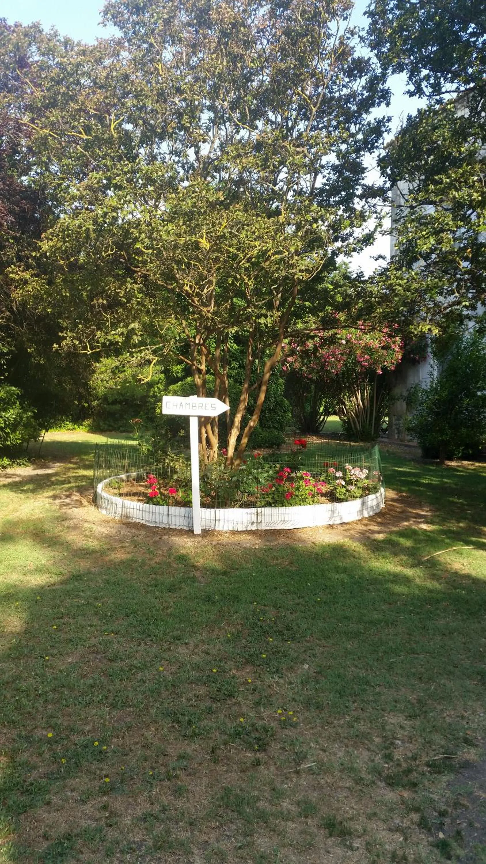 Garden in Le Mas d'Icard