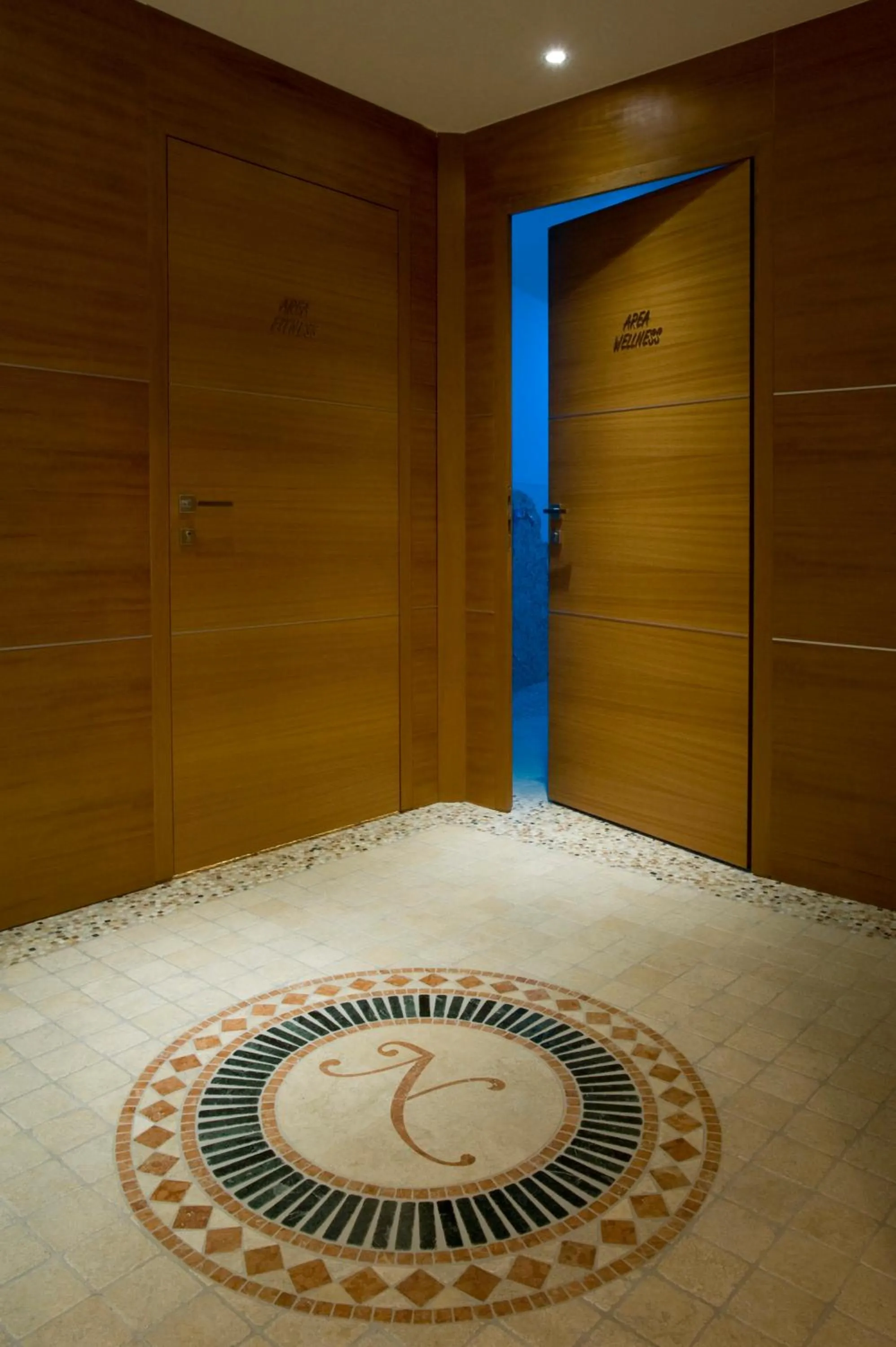 Spa and wellness centre/facilities in Hotel Napoleon