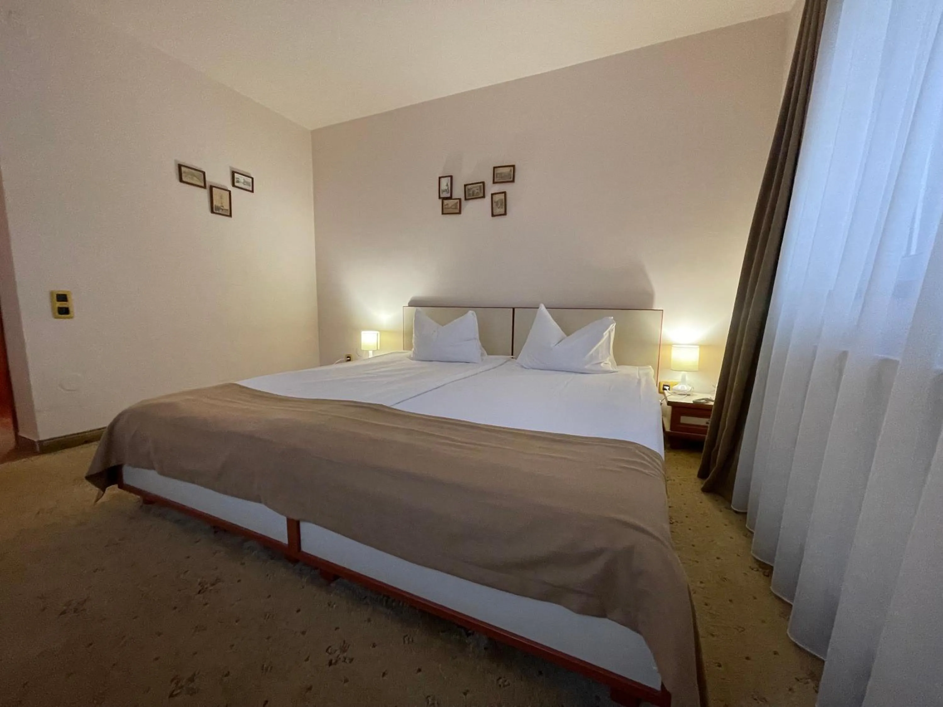 Bed in Pensiunea Luiza