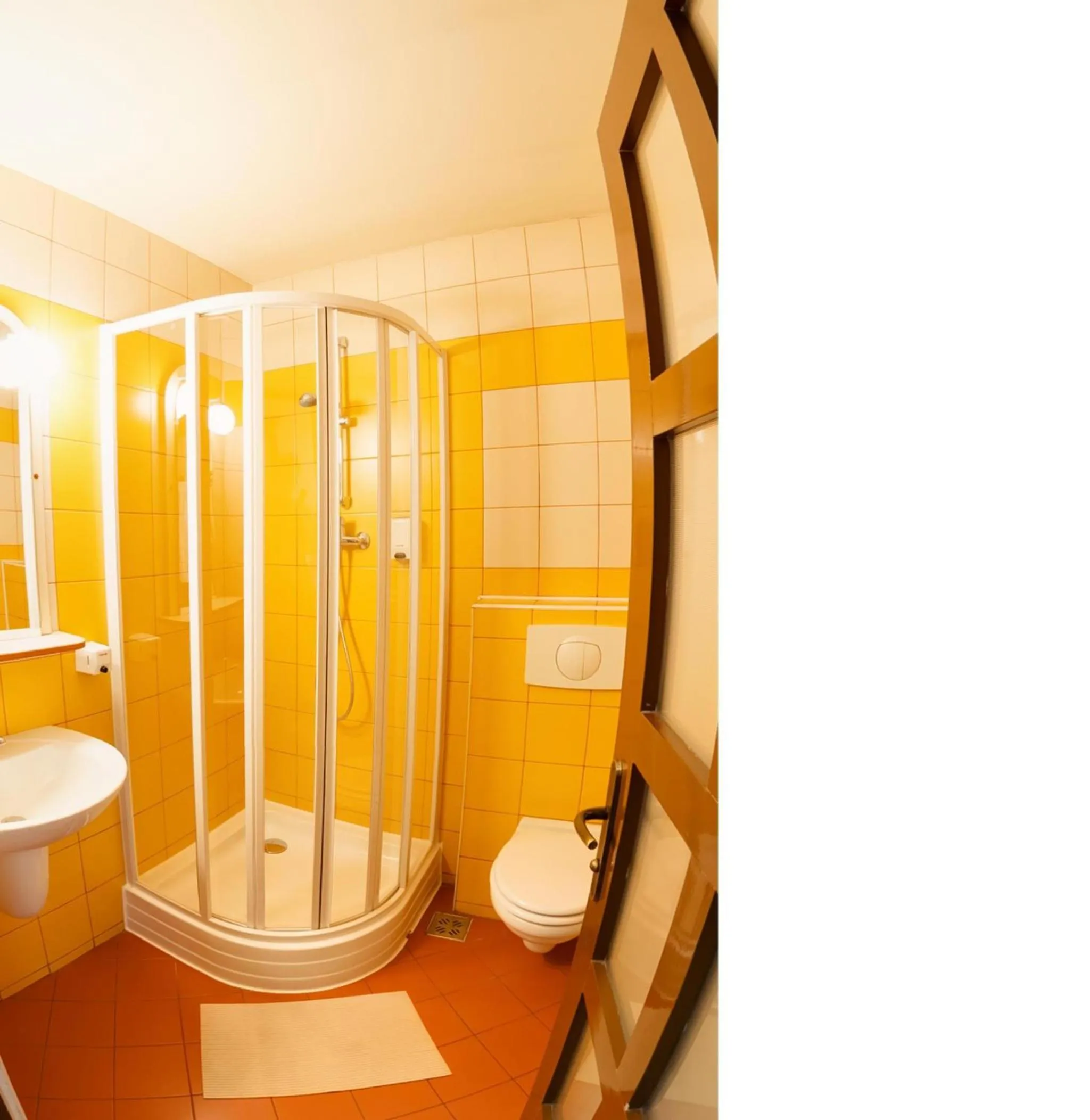 Shower in Pensiunea Luiza