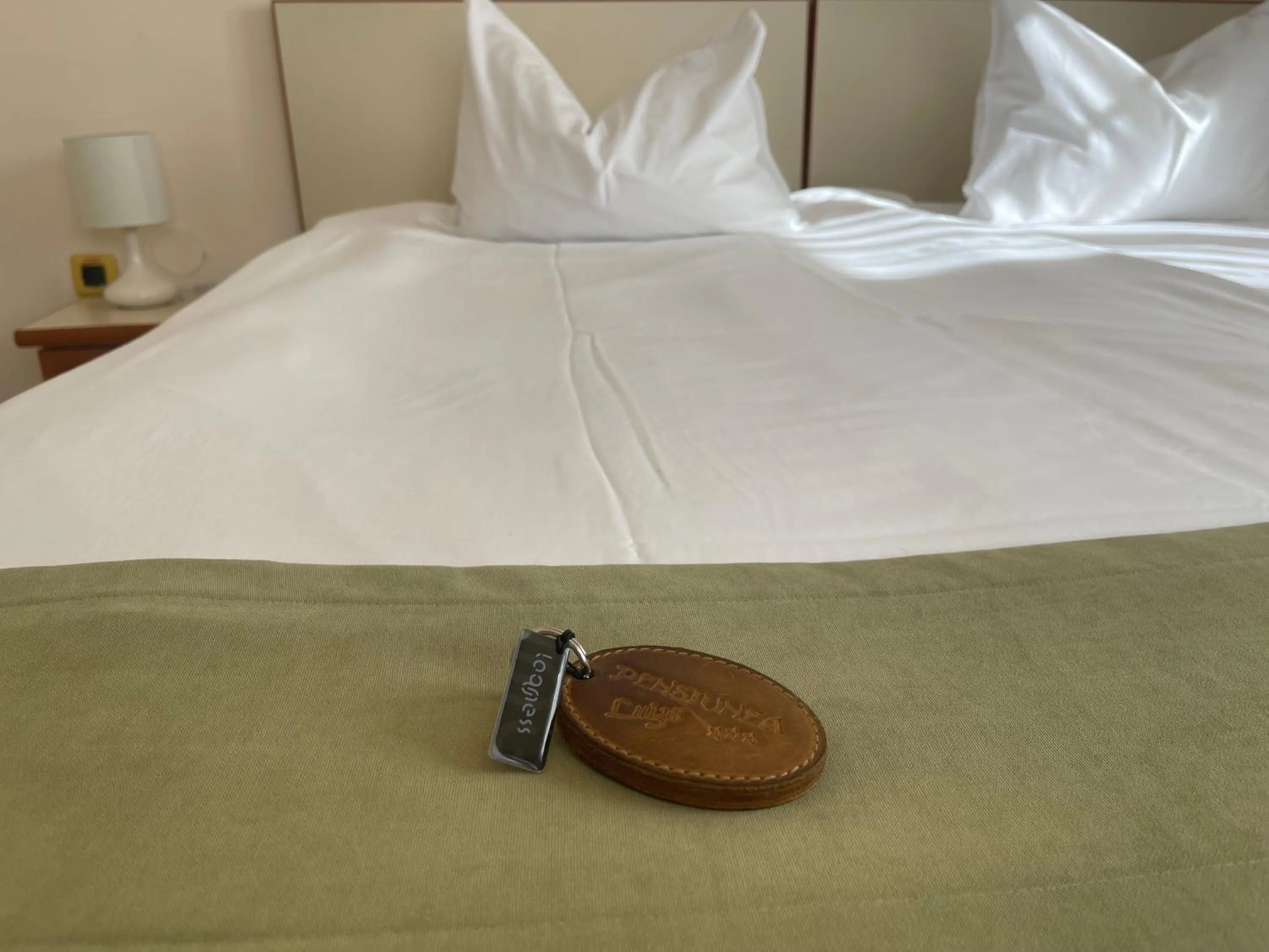 Bed in Pensiunea Luiza